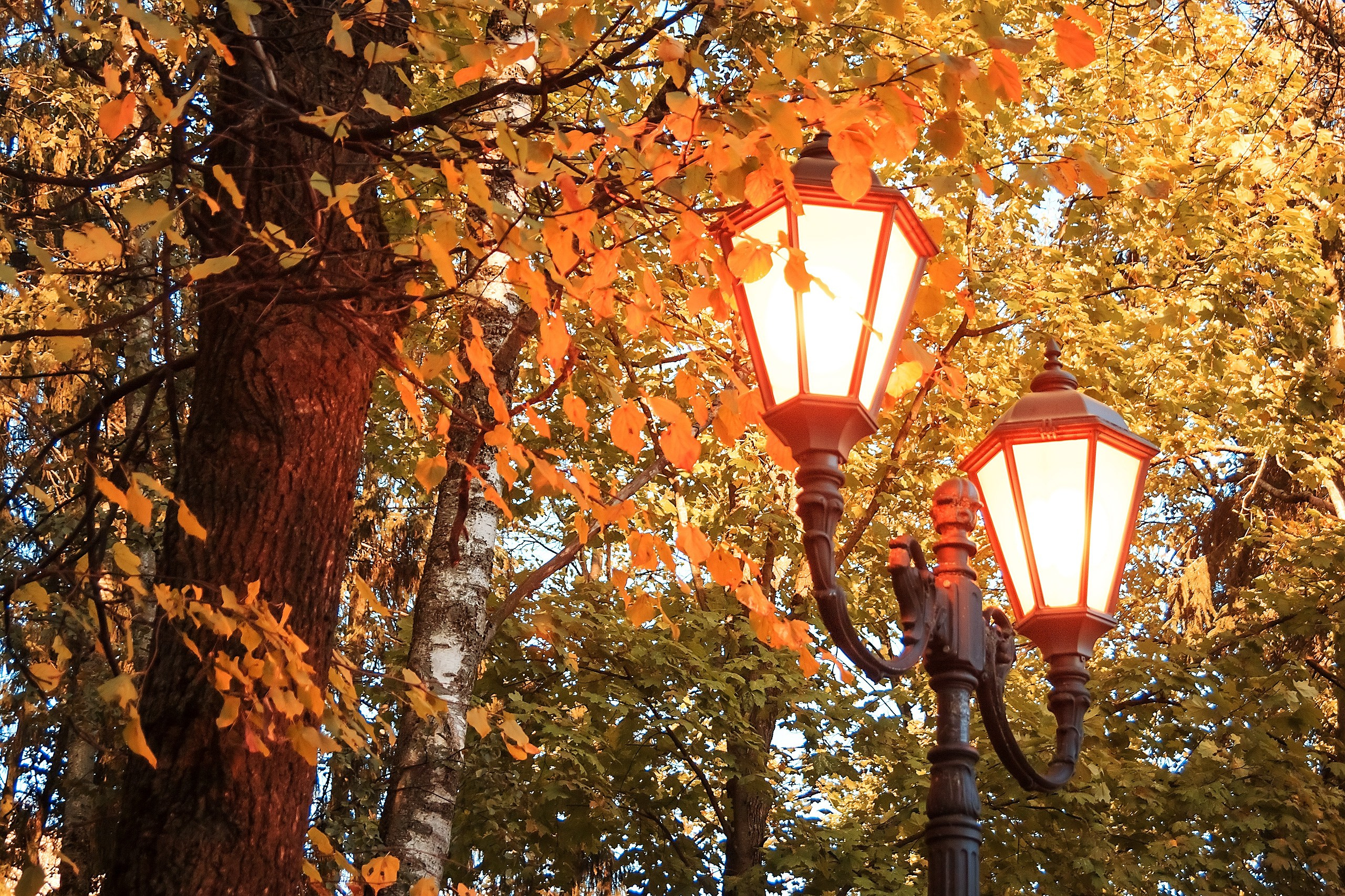 В мире физики. Аmat Victoria Сuram