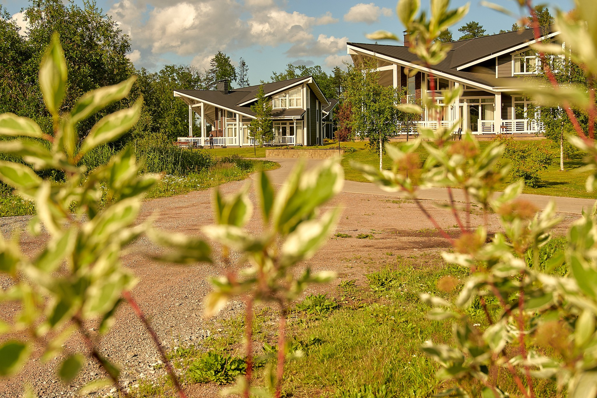 ДАЧА ВИНТЕРА