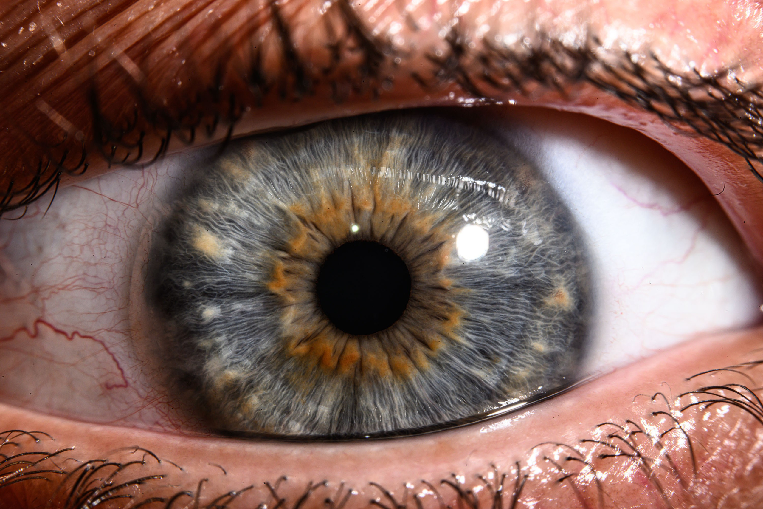 Лучшая фотография радужки глаза в Ростове. Профессиональная фотосъемка. Ростов-на-Дону