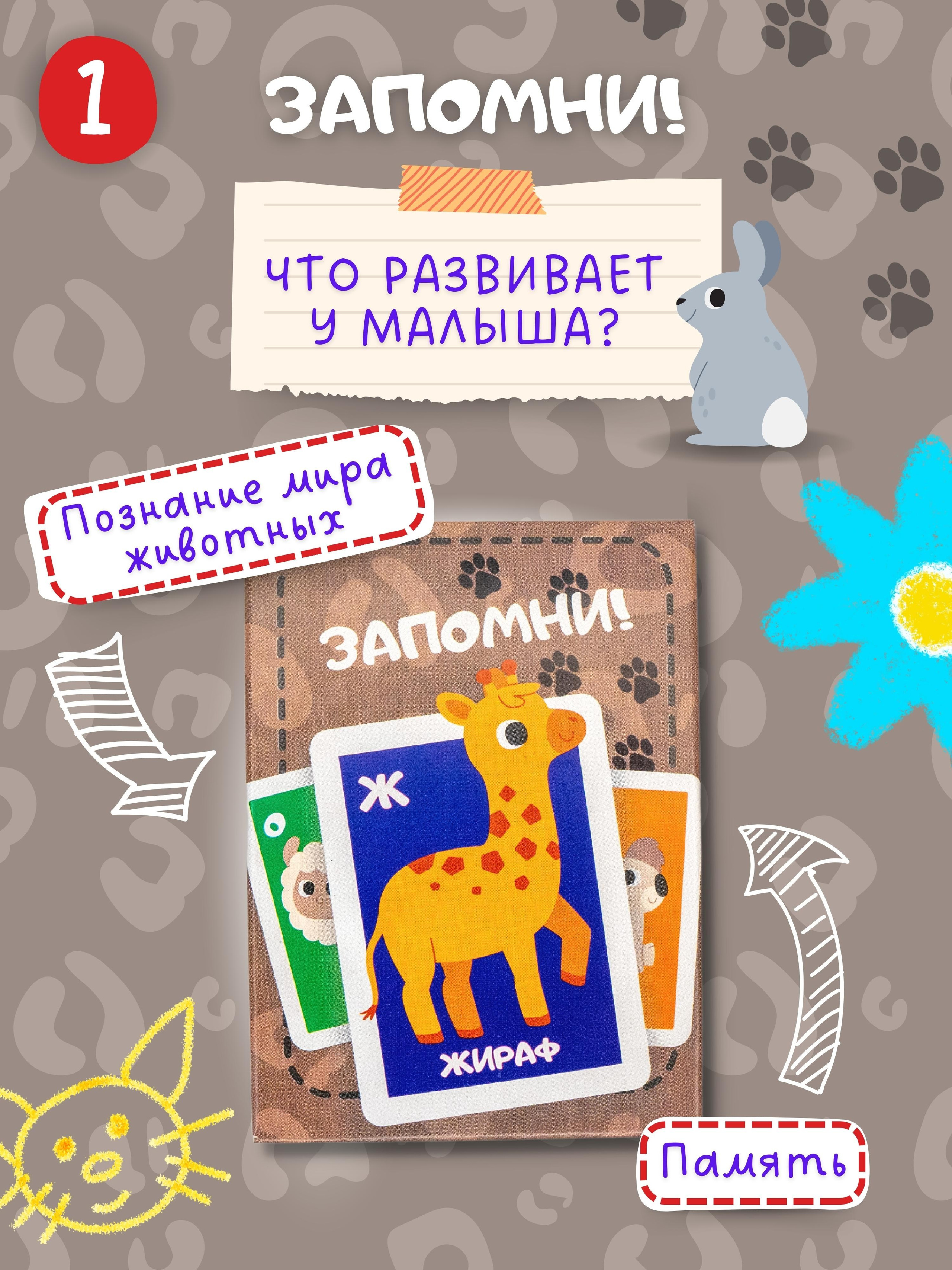 Проект: настольная детская игра «Развивашки». Маркетолог в Москве, специалист по коммуникациям и рекламе Аня Смоляга