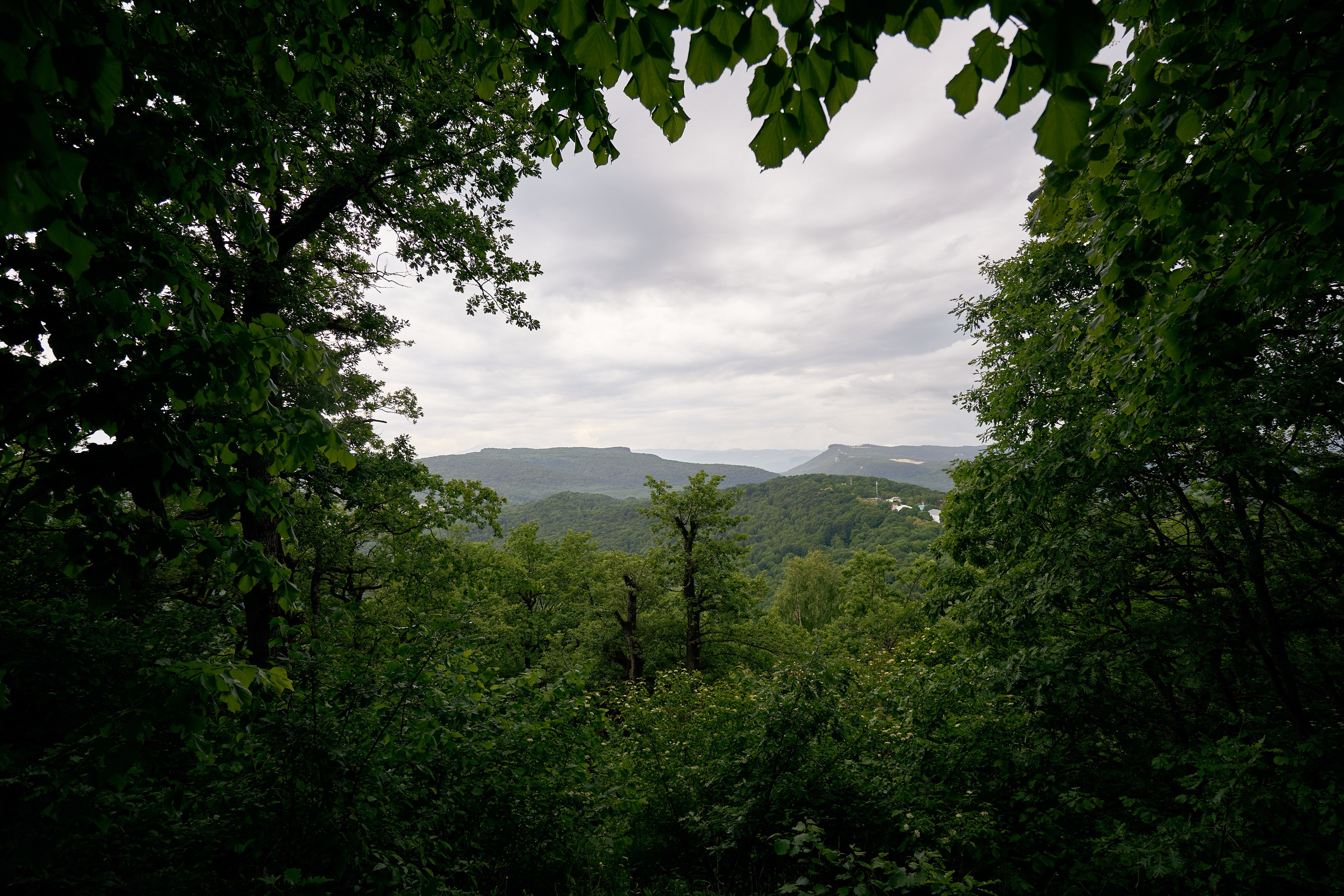 Монастырь. Петр Ступень. Свадебное, семейное фото и видео. Москва. Краснодар