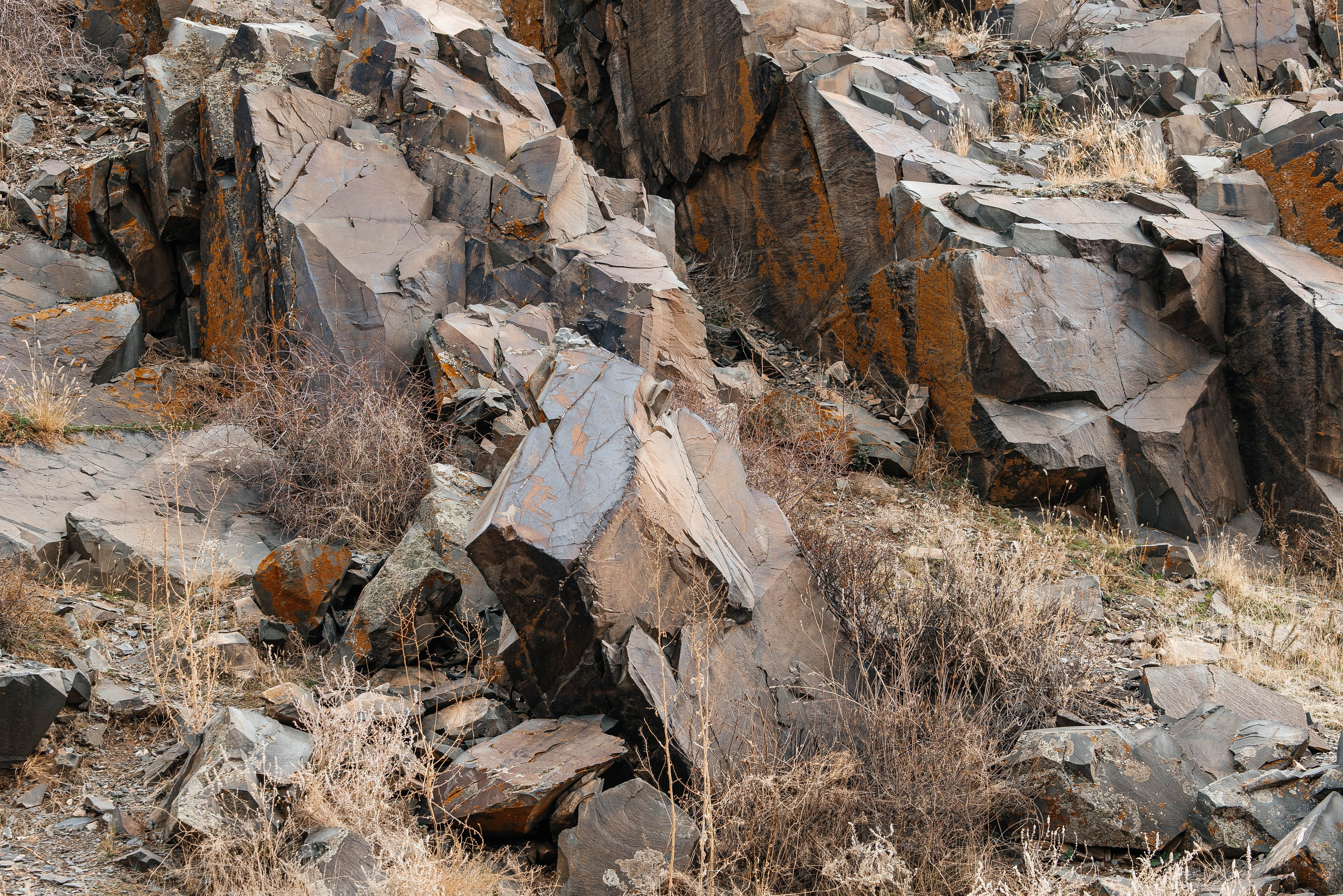 Экскурсия и тур на петроглифы Танбалы ЮНЕСКО