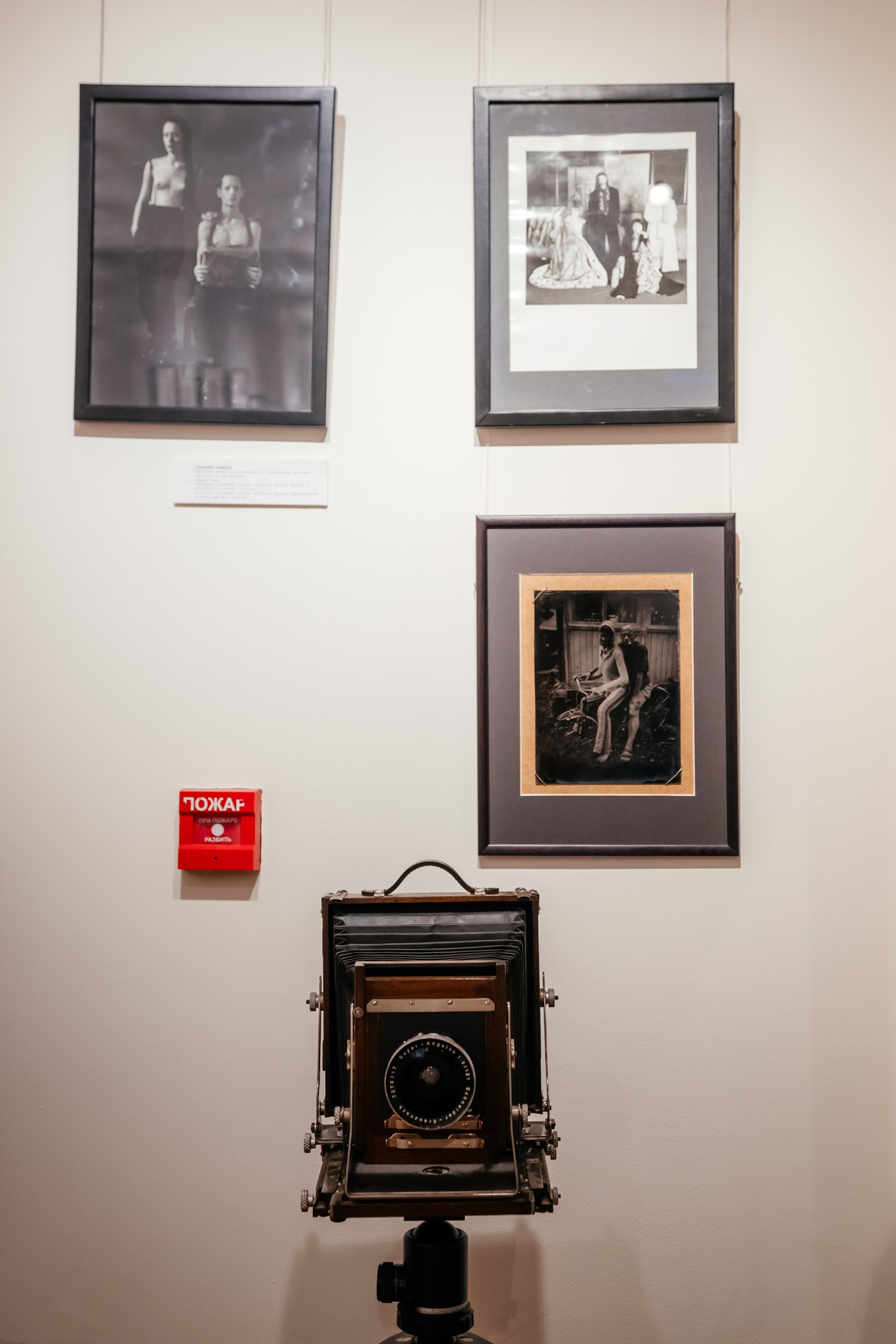 ФОТО-ТОП. ПОРТРЕТ 2023. Фотограф в Красноярске Оксана Корчагина