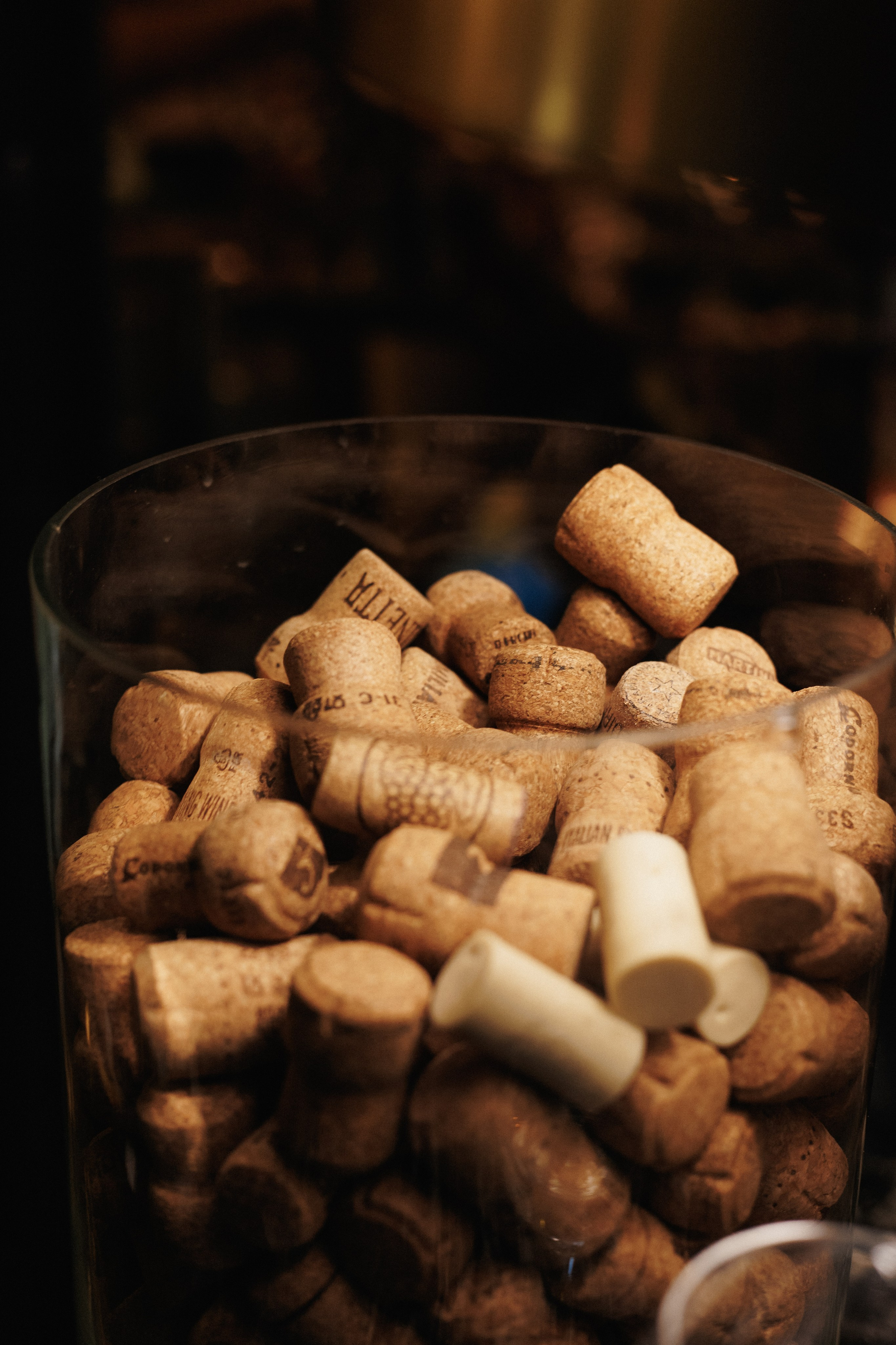 B.DAY PARTY ЖУРНАЛА •G. СВОИ. ФОТООТЧЕТЫ-СОБЫТИЯ-МЕСТА