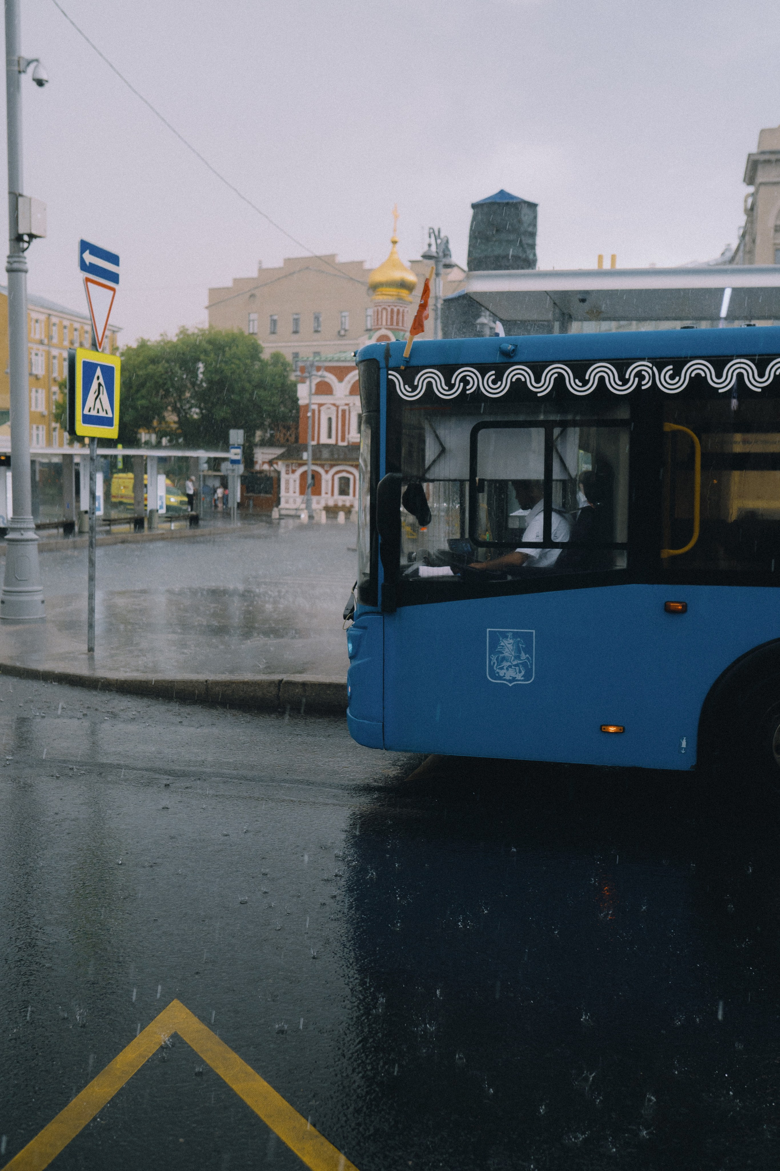 И под дождем. Андрейко Надежда