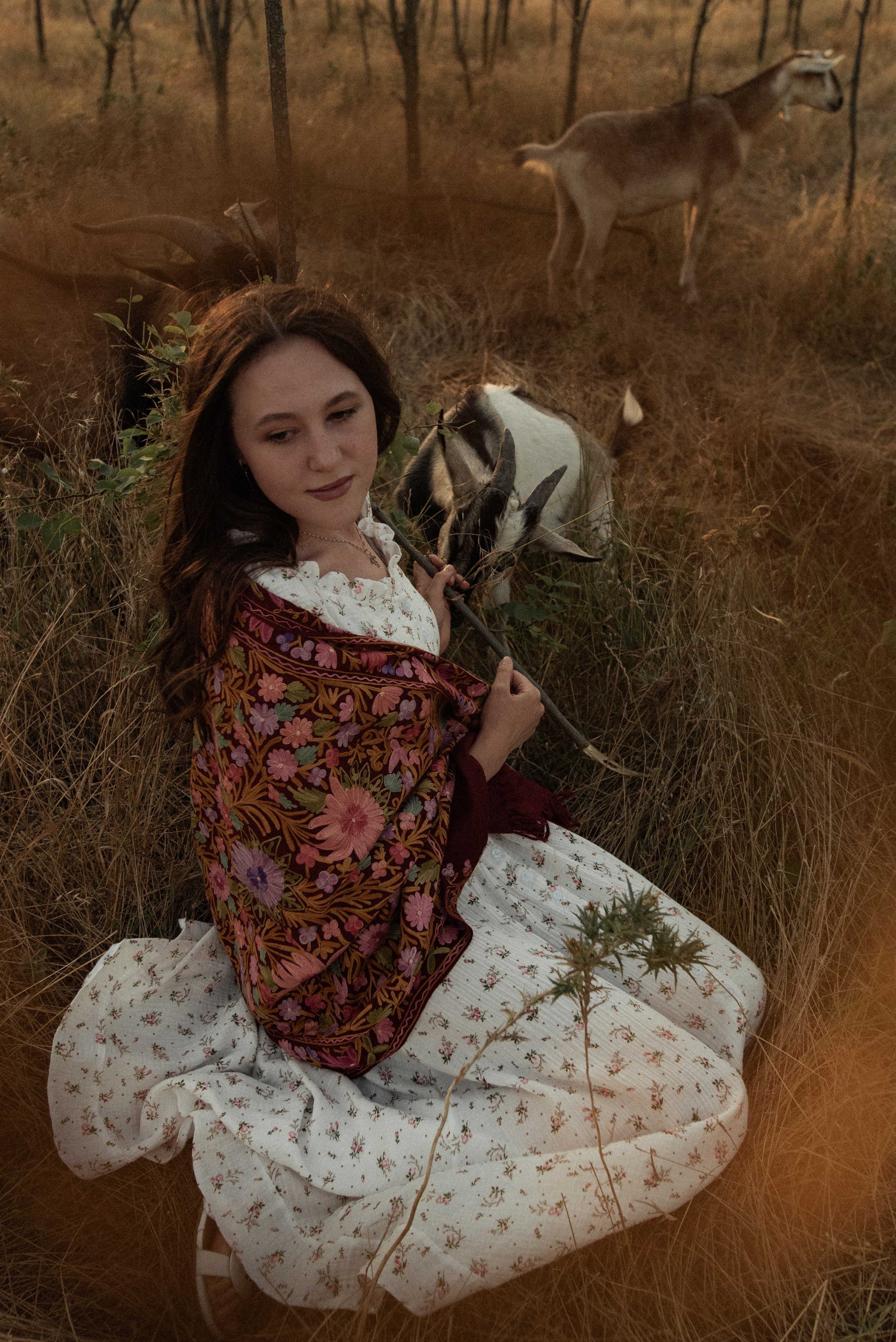 Пастухи и пастушки. Или ещё одна история о любви. Семейный и детский фотограф в Санкт-Петербурге Татьяна Дмитренко