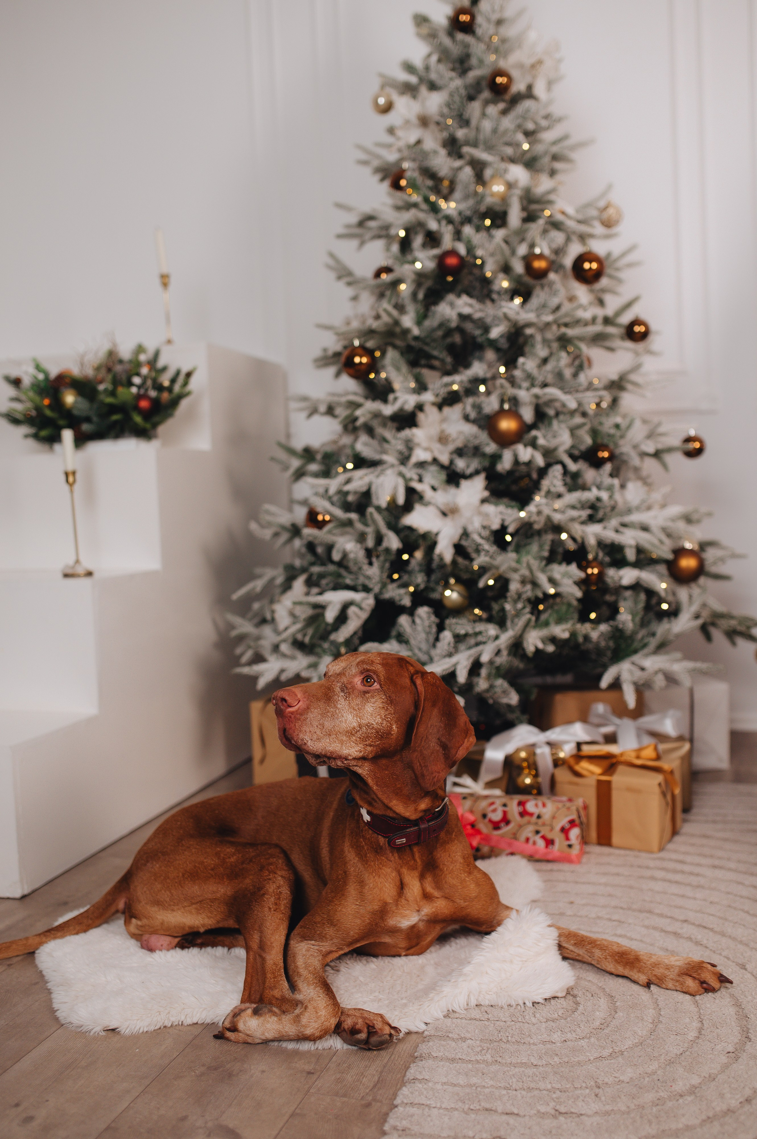 Family. Photographer in Prague Yara Kurkus