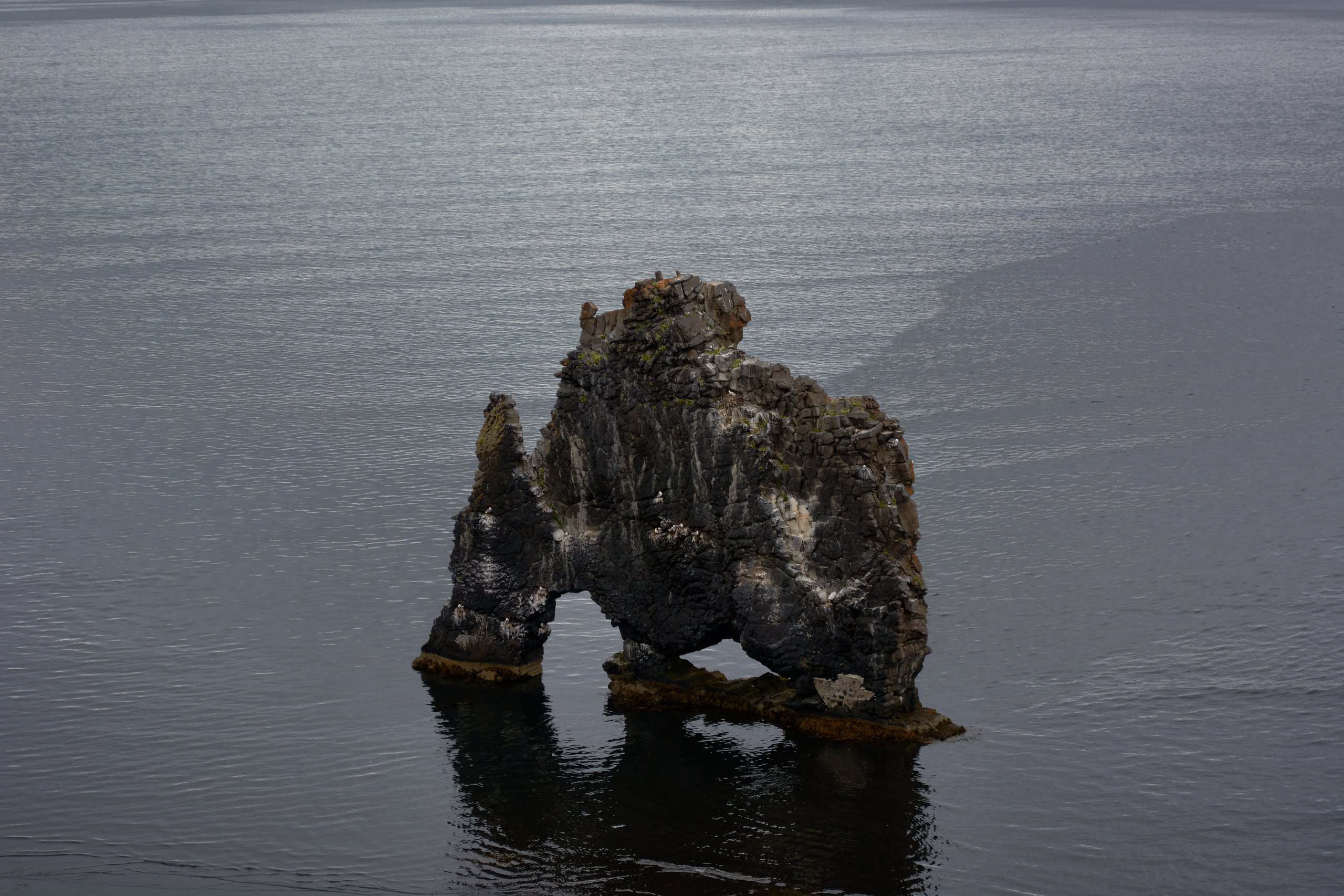 Скала Хвитсеркур. Алексей Попов