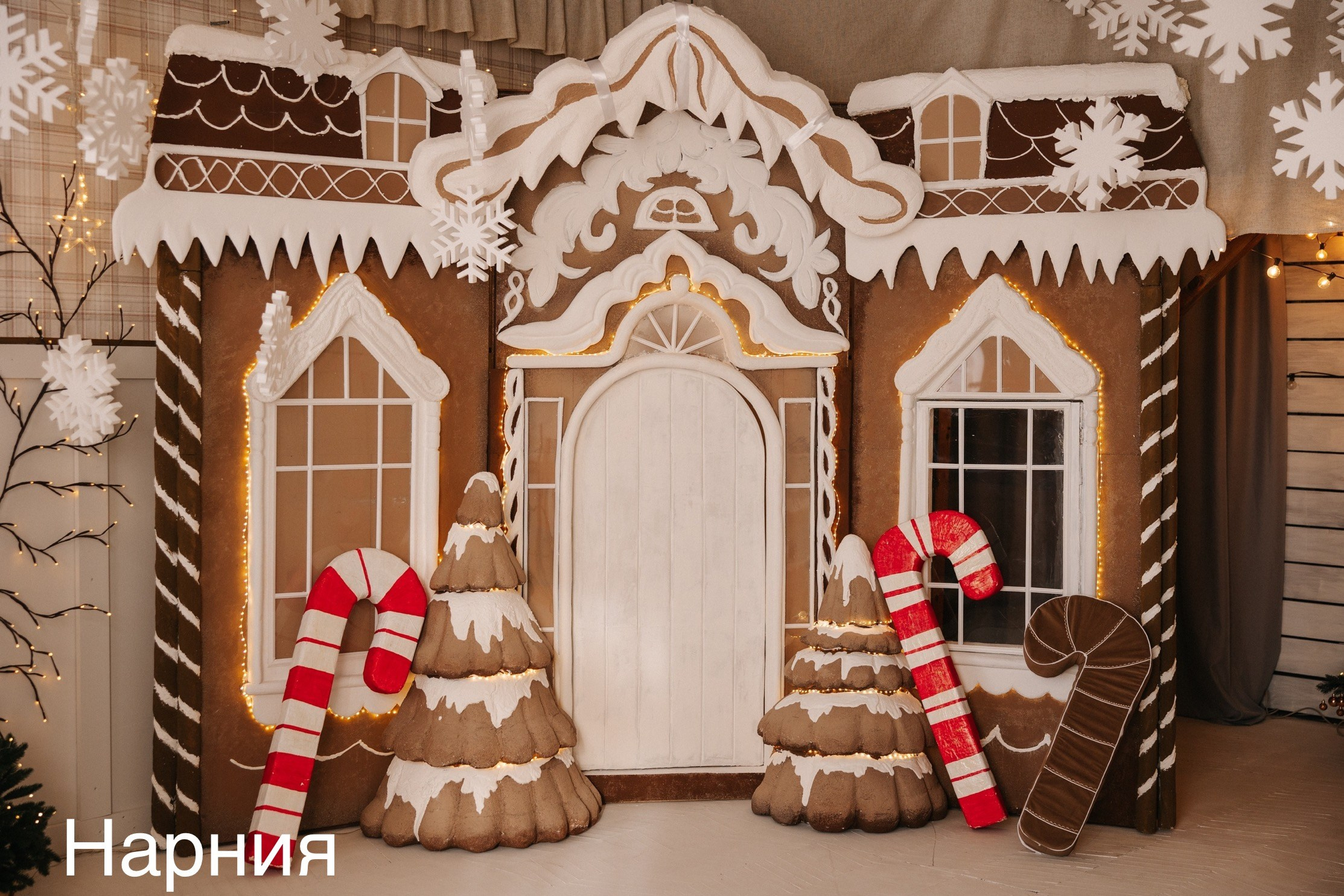 Фотостудии. Евгений Щетников Фотограф-Тюмень