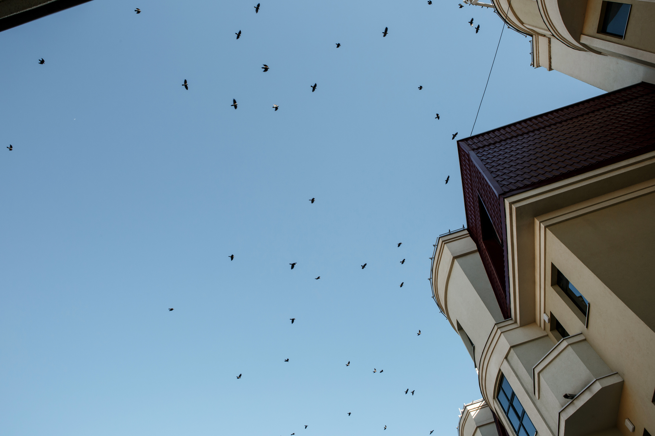 Свадебный фотограф Колесников Антон. Свадебный фотограф Колесников Антон