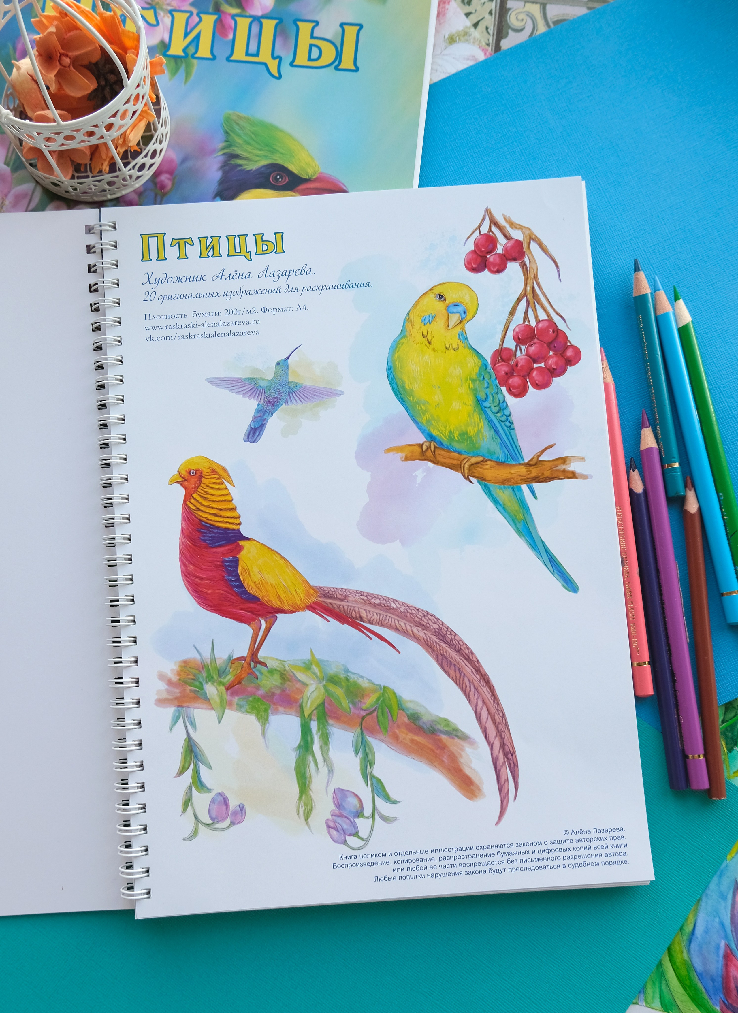 Авторская раскраска от художника Птицы. Раскраски Алёны Лазаревой