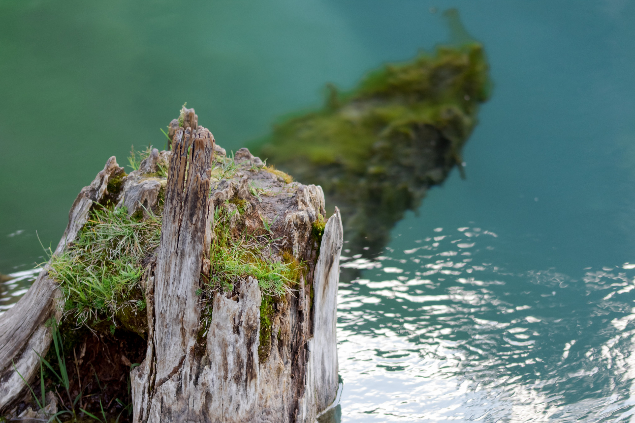 Горный Алтай. Фотограф Кирилл Мешков Кемерово
