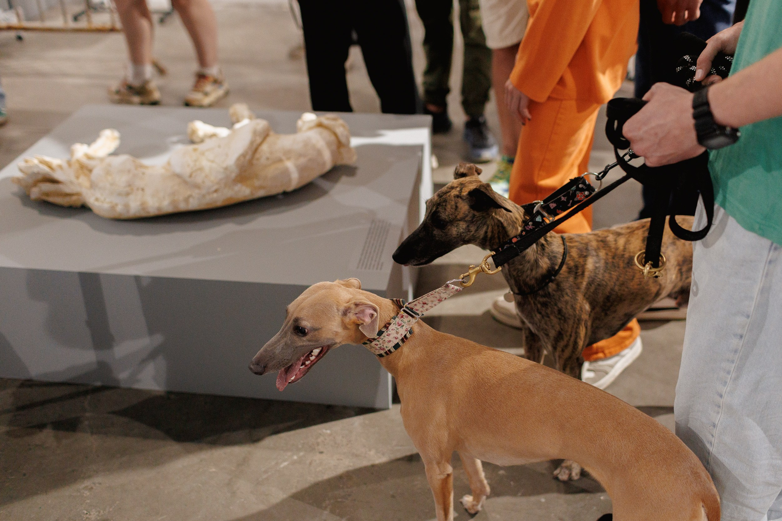 Жив был пёс. Собачий художник Поля Стриж