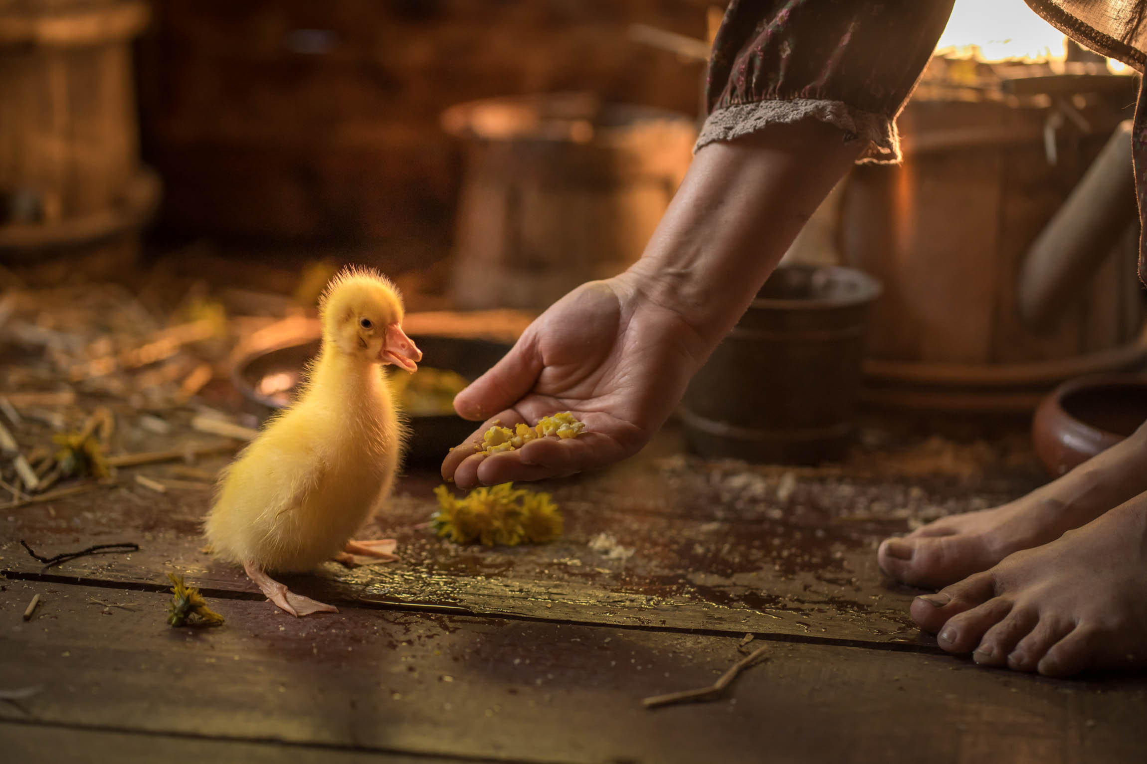 Спасибо, Лето! Съемка в «Птичьем дворике»