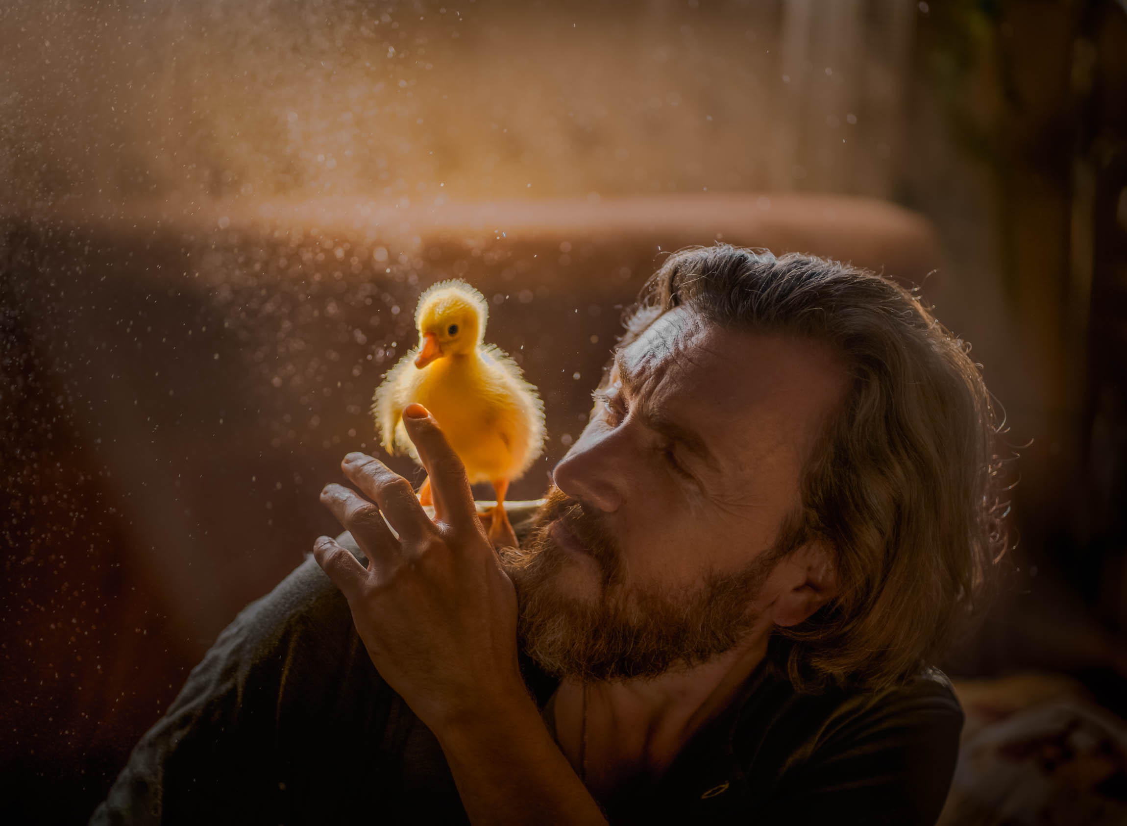 Утенок, Гусенок, портрет, мужской портрет, портрет с гусенком,