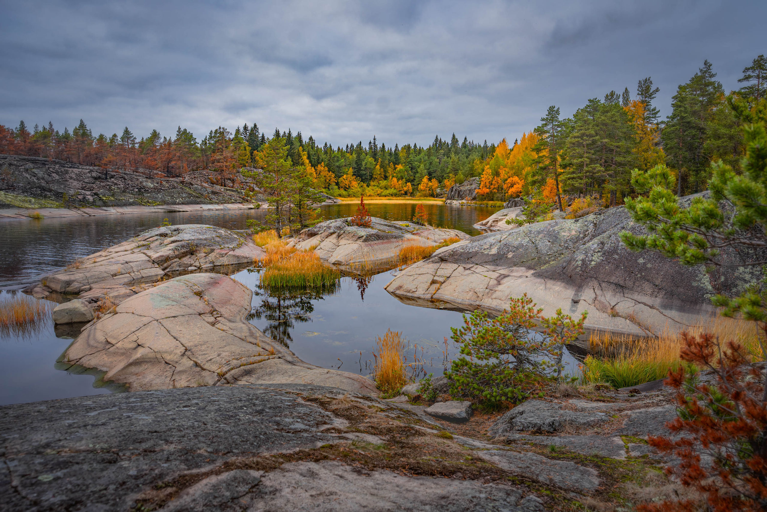 Autumn, golden autumn, Karelia, Ladoga skerries, Indian summer, Ladoga, skerries, nature photo, nature photographer, Svetlana Korneliuk
