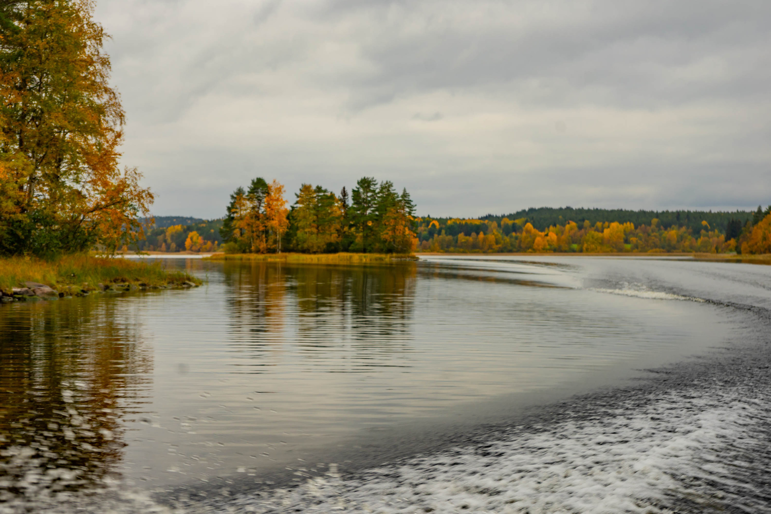 Ladoga
