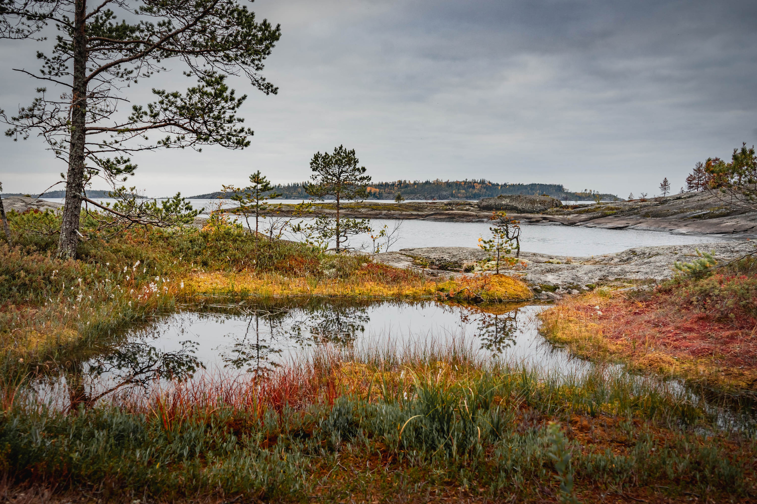 Honkasalo Island