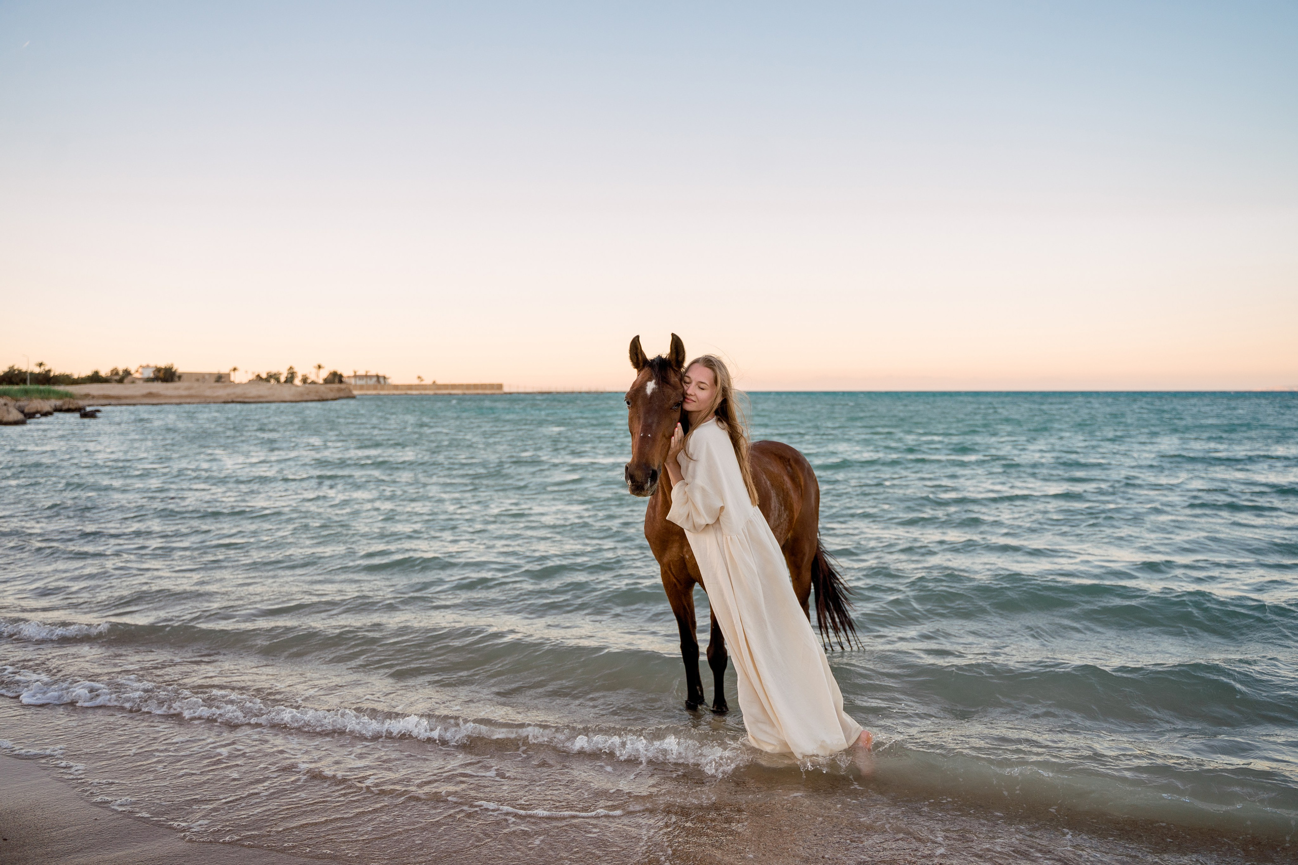 Фотосессия с лошадью на море. Photographer in Egypt, Hurghada, Luxor, Safaga