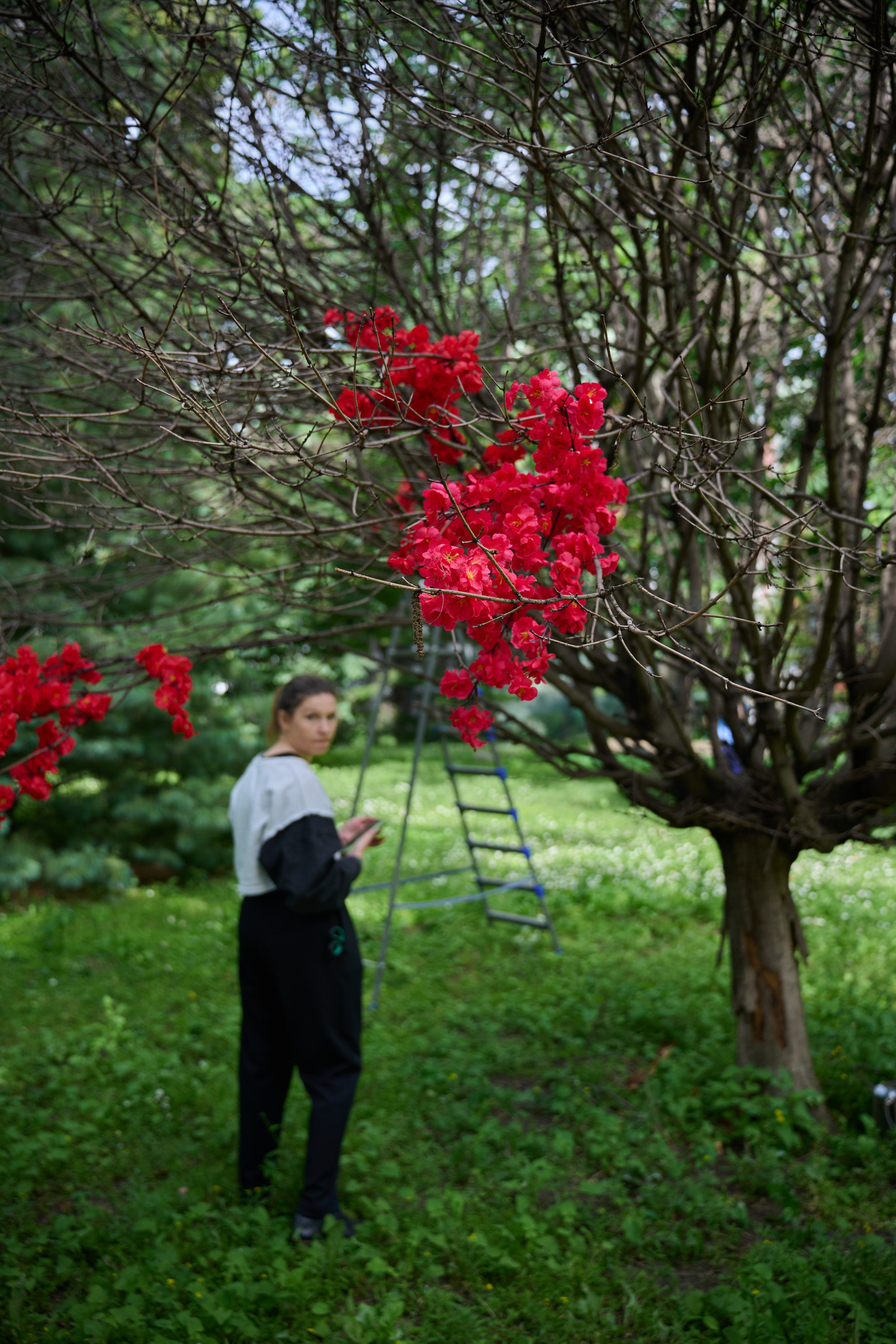 Накануне праздника китайских мучеников. Фотограф в Москве