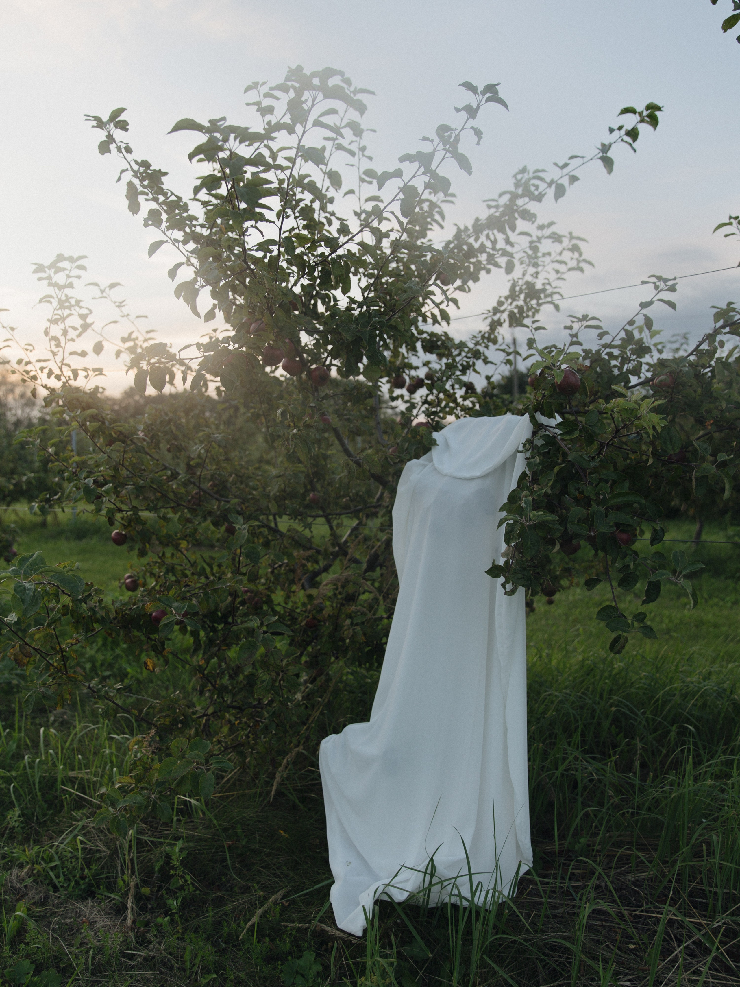 «КРАСОТА.МОЛОДОСТЬ.ЛЮБОВЬ». Свадебный и семейный фотограф в Калининграде Ольга Мешечкова