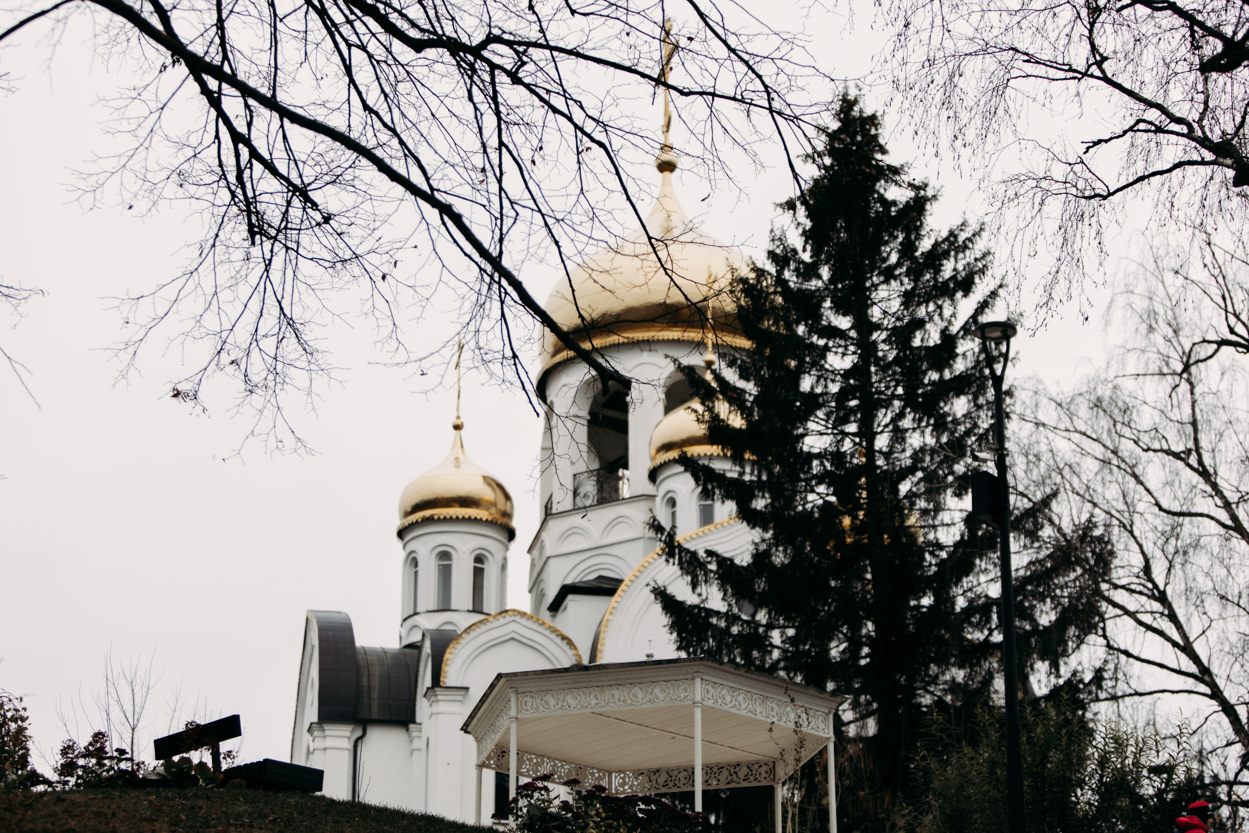 XIX фестиваль спортивного ориентирования «Воскресенская осень». Выпускные альбомы и школьный фотограф в Подольске, Троицке, Щербинке, Москве и Московской области