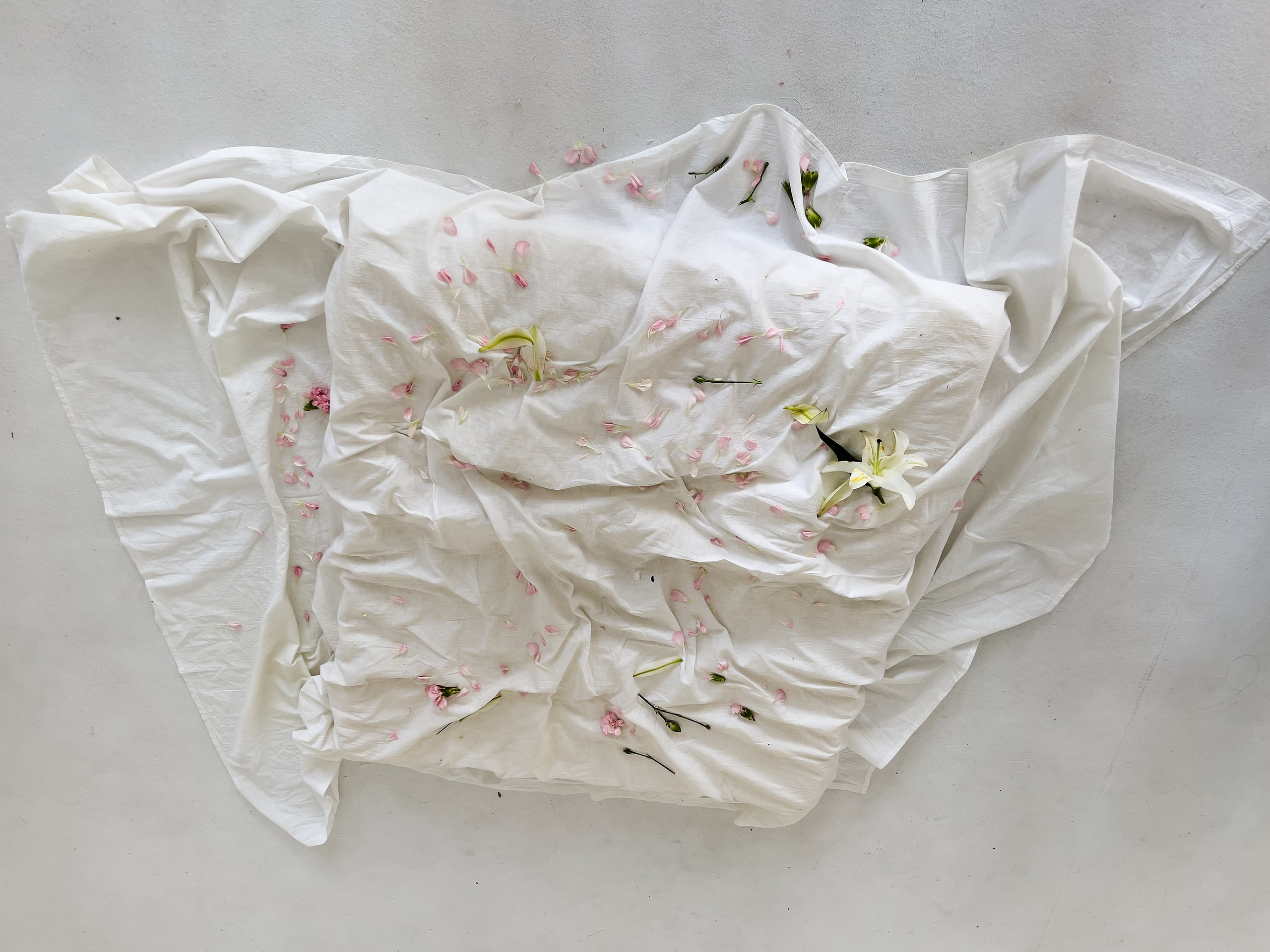 HEYDAY. Daria Blinova