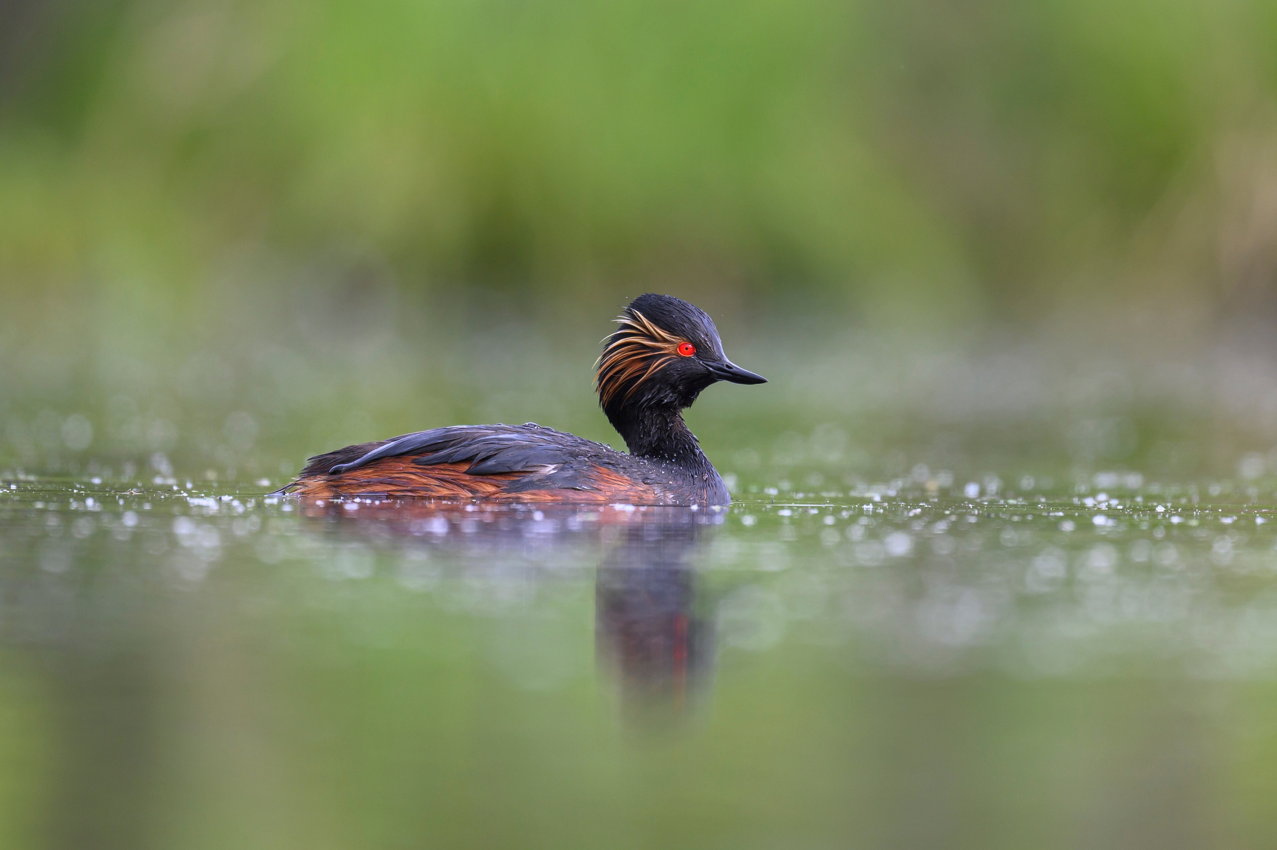Мягкий свет. Фотограф Сергей Пупонин