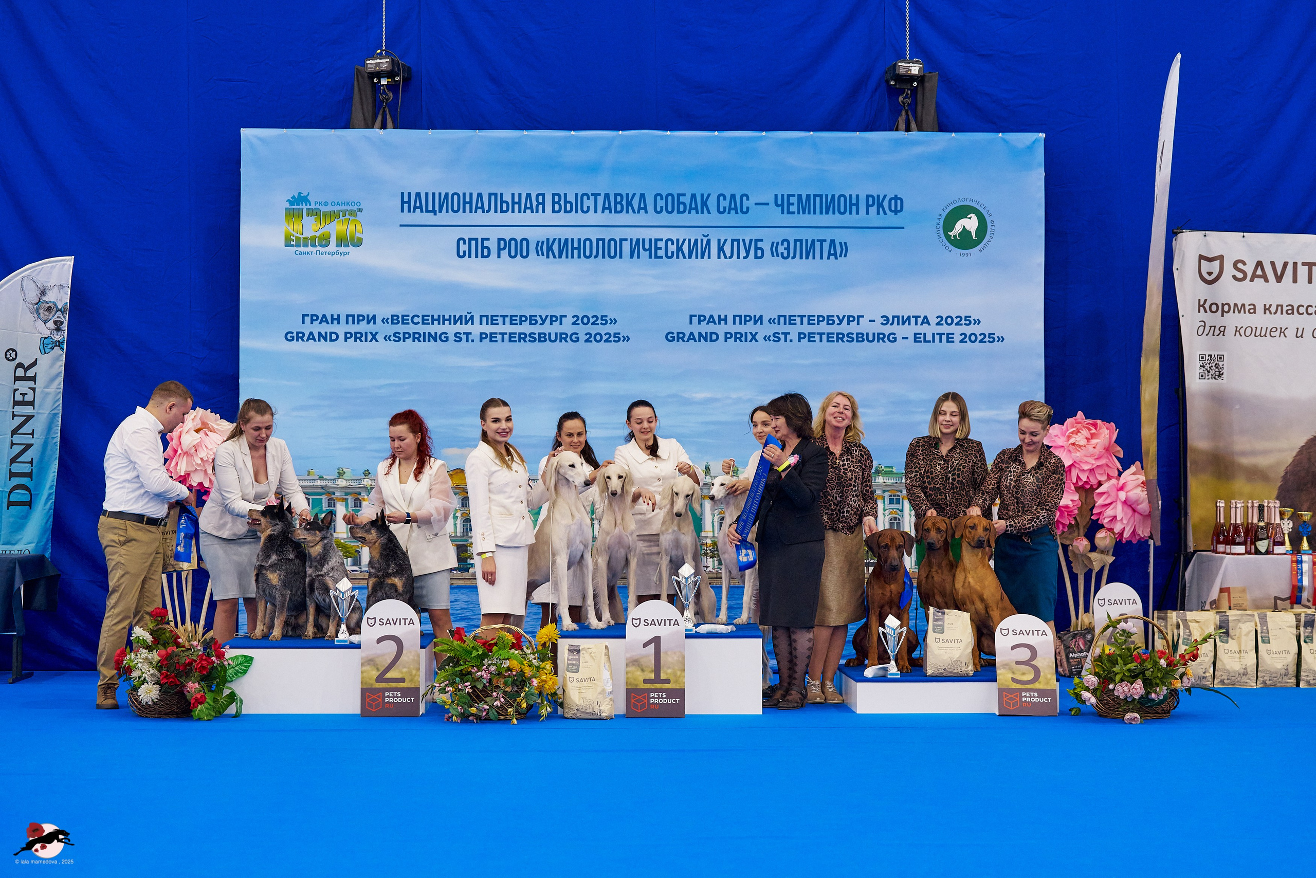 ГРАН ПРИ «ВЕСЕННИЙ ПЕТЕРБУРГ» & «СУПЕР КУБОК «ЭЛИТЫ»-2025»