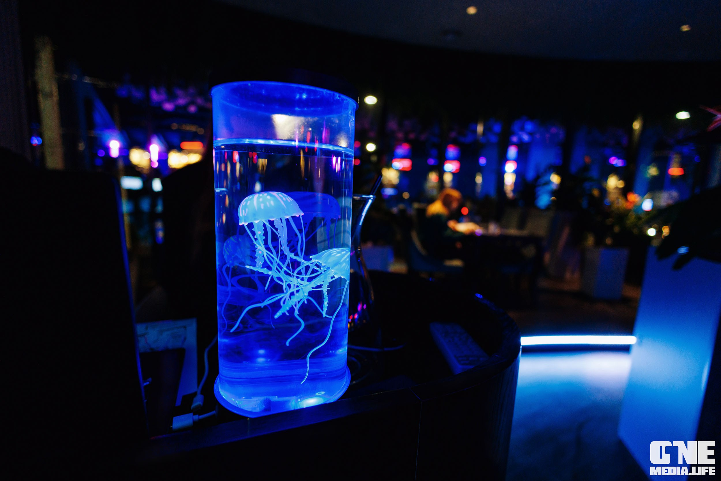 Фоторепортаж из ресторана Океан. One Media Life: фоторепортажи, фотоотчеты с мероприятий и заведений