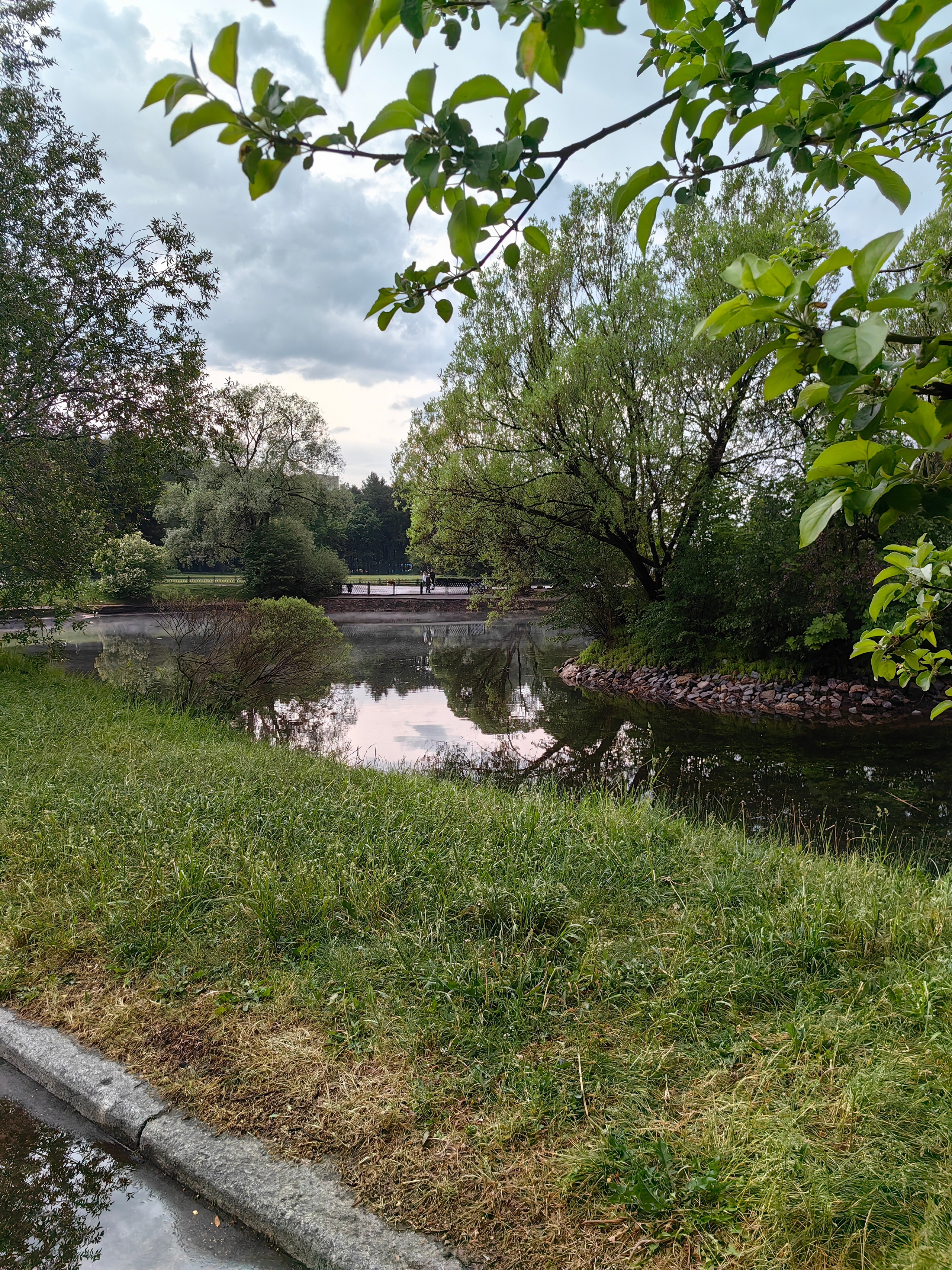 Парк БОТАНИЧЕСКИЙ САД обзор. Фотограф в Москве и Московской области (Ю-В) Олеся Макарова