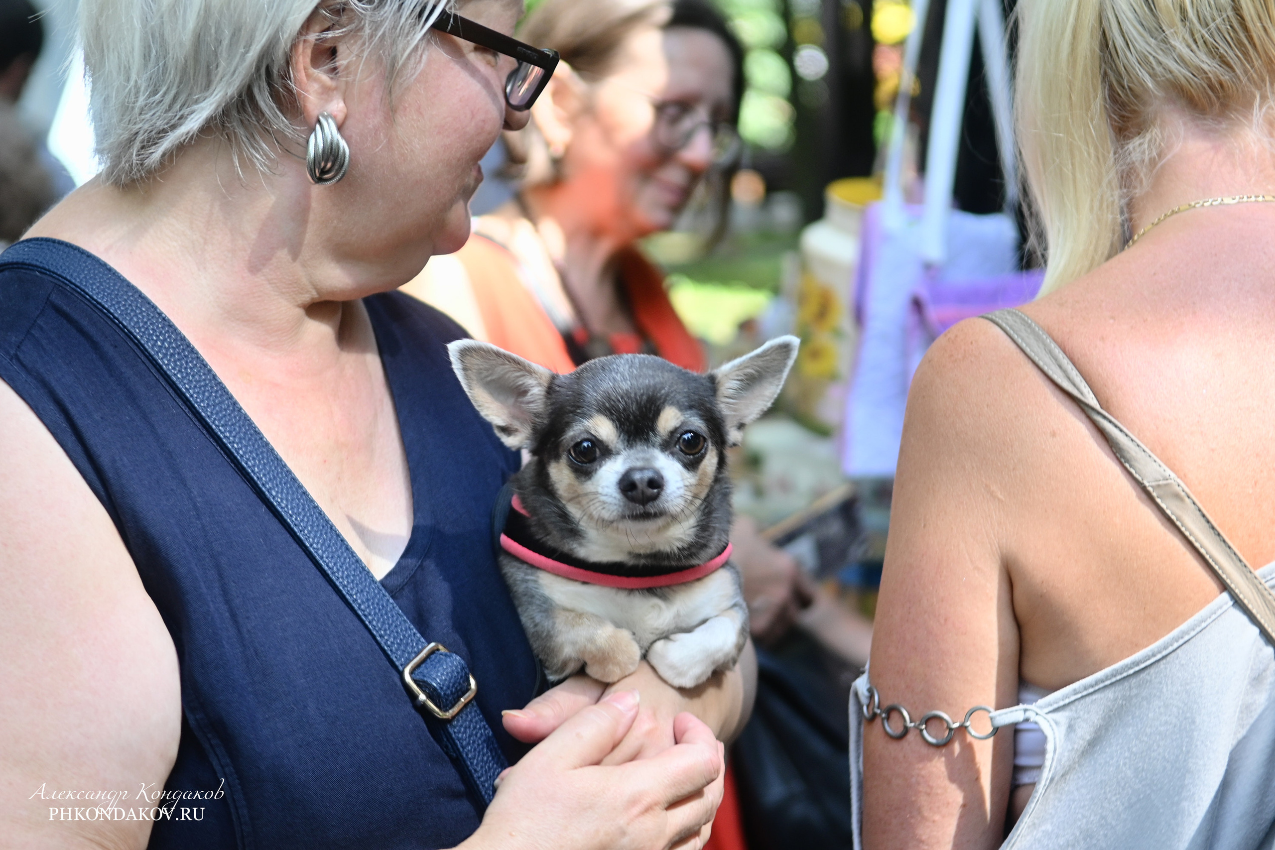 Съемка дня города в Иваново. Фотограф в Иваново: Каталожная съемка одежды и постельного белья, Wildberries
