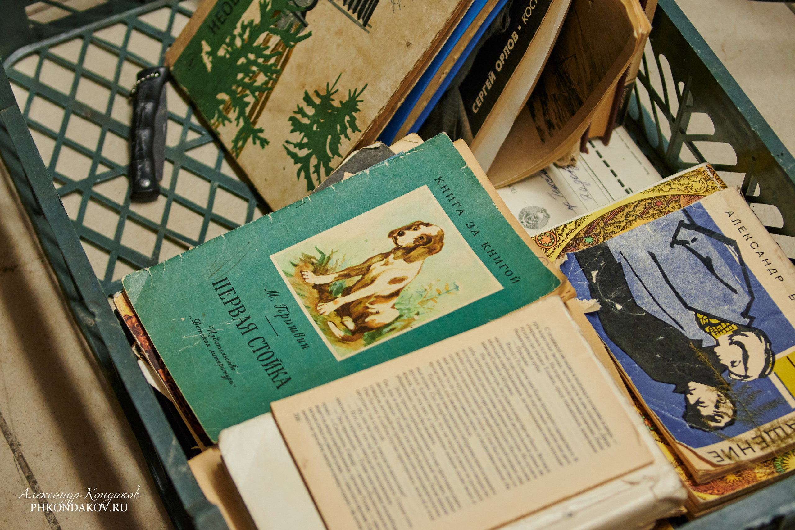 Арт центр Шкаф. Фотограф в Иваново: Каталожная съемка одежды и постельного белья, Wildberries