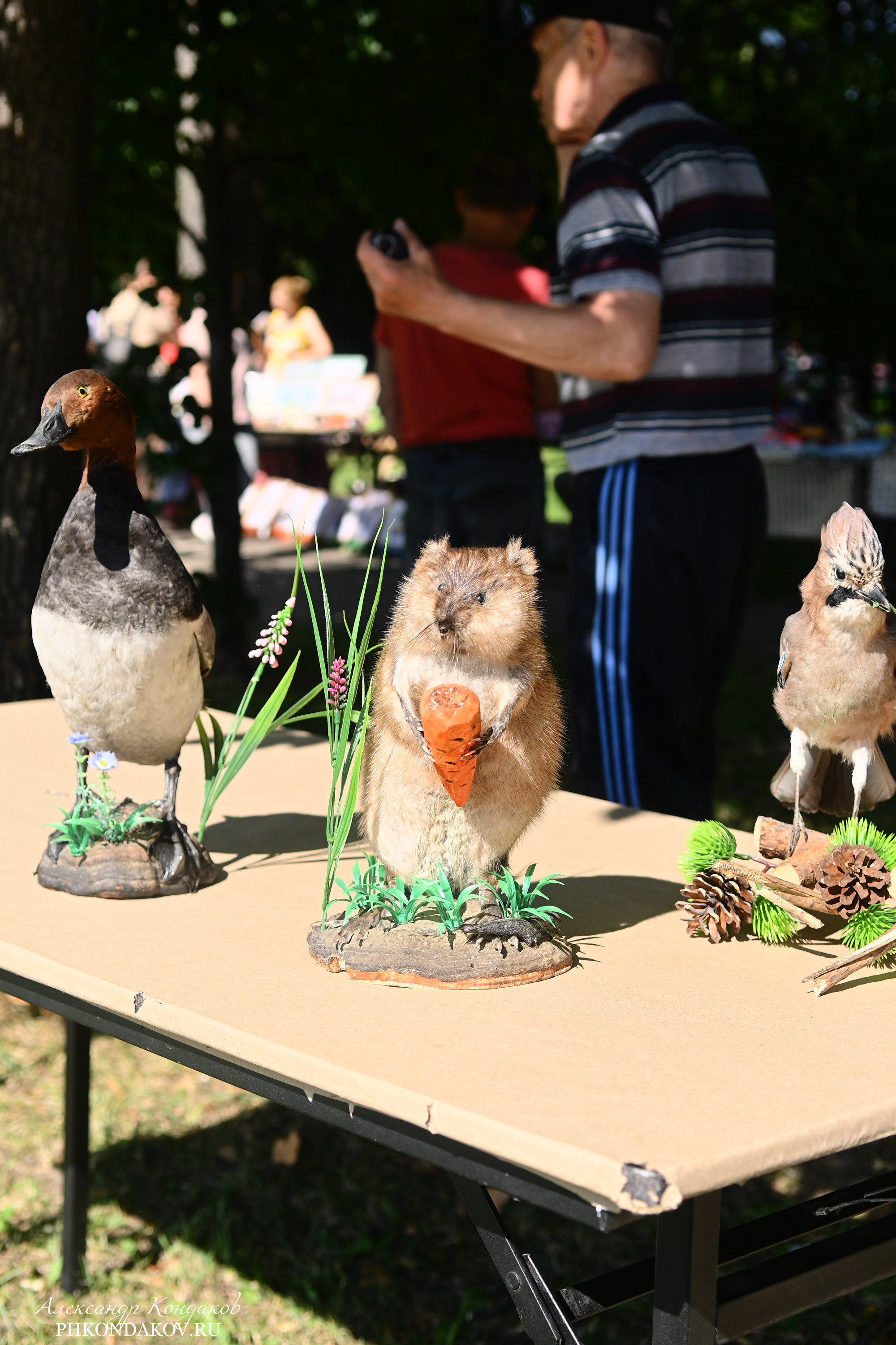 Съемка дня города в Иваново. Фотограф в Иваново: Каталожная съемка одежды и постельного белья, Wildberries