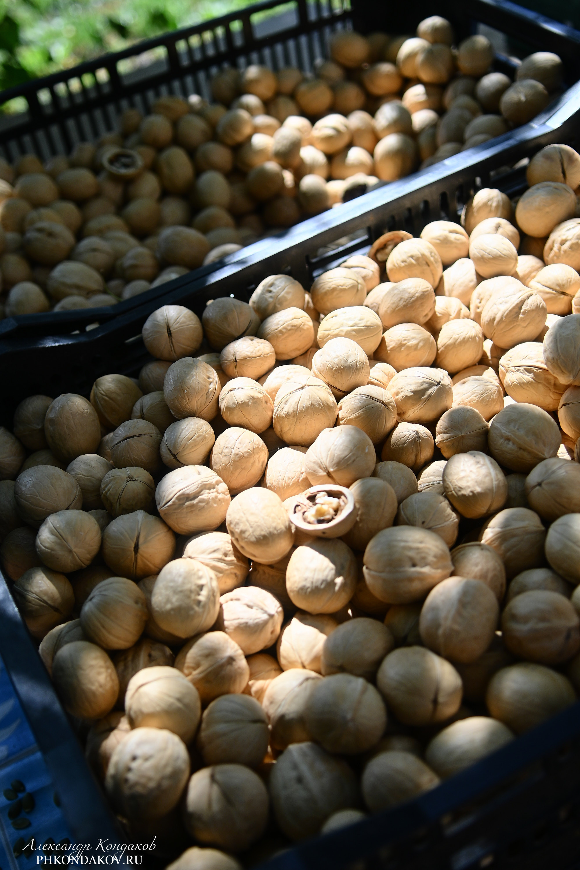 Съемка дня города в Иваново. Фотограф в Иваново: Каталожная съемка одежды и постельного белья, Wildberries