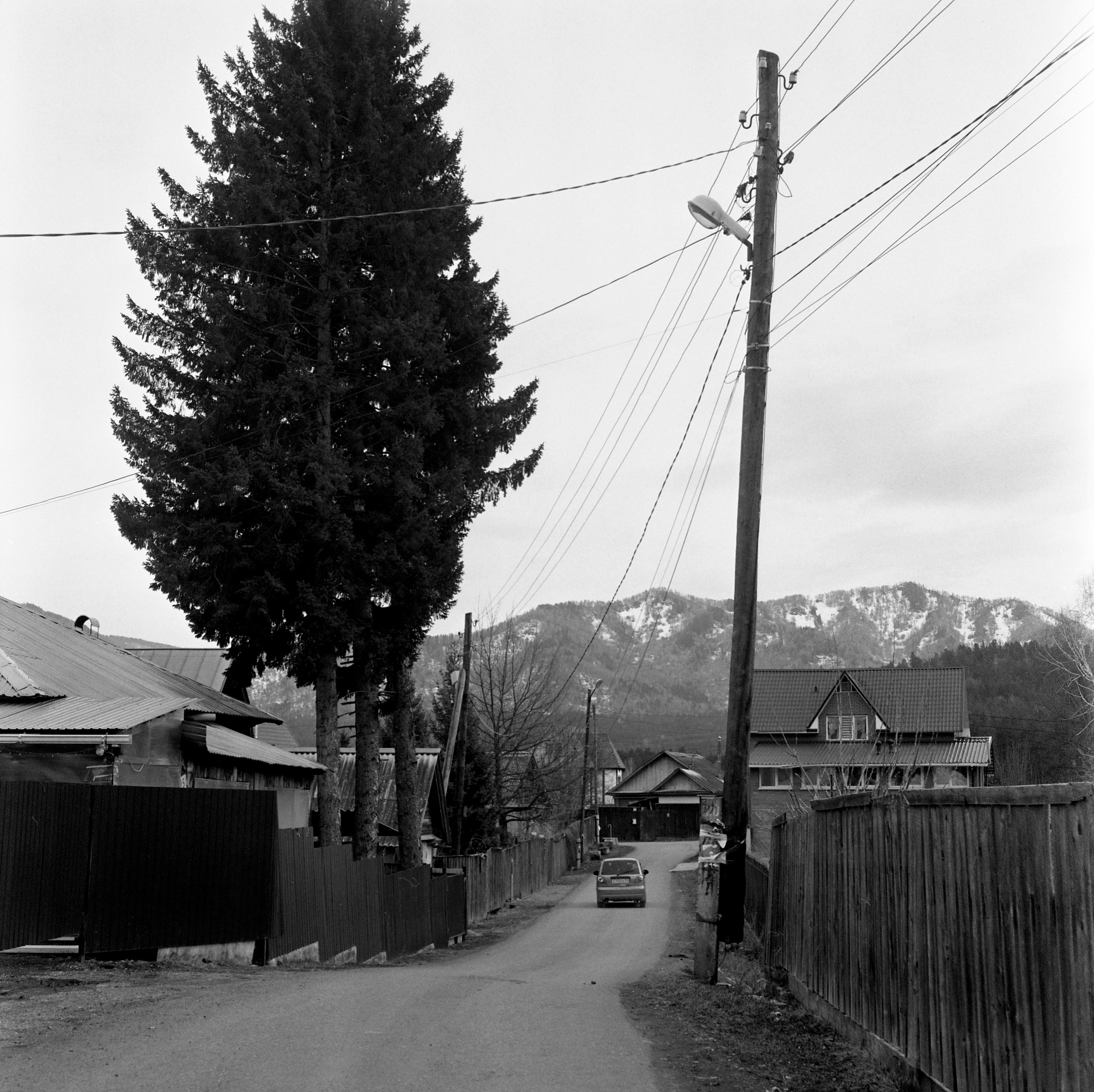 Алтай, Россия. Elena Nikitina. Photo Artist. Film photography. Prints