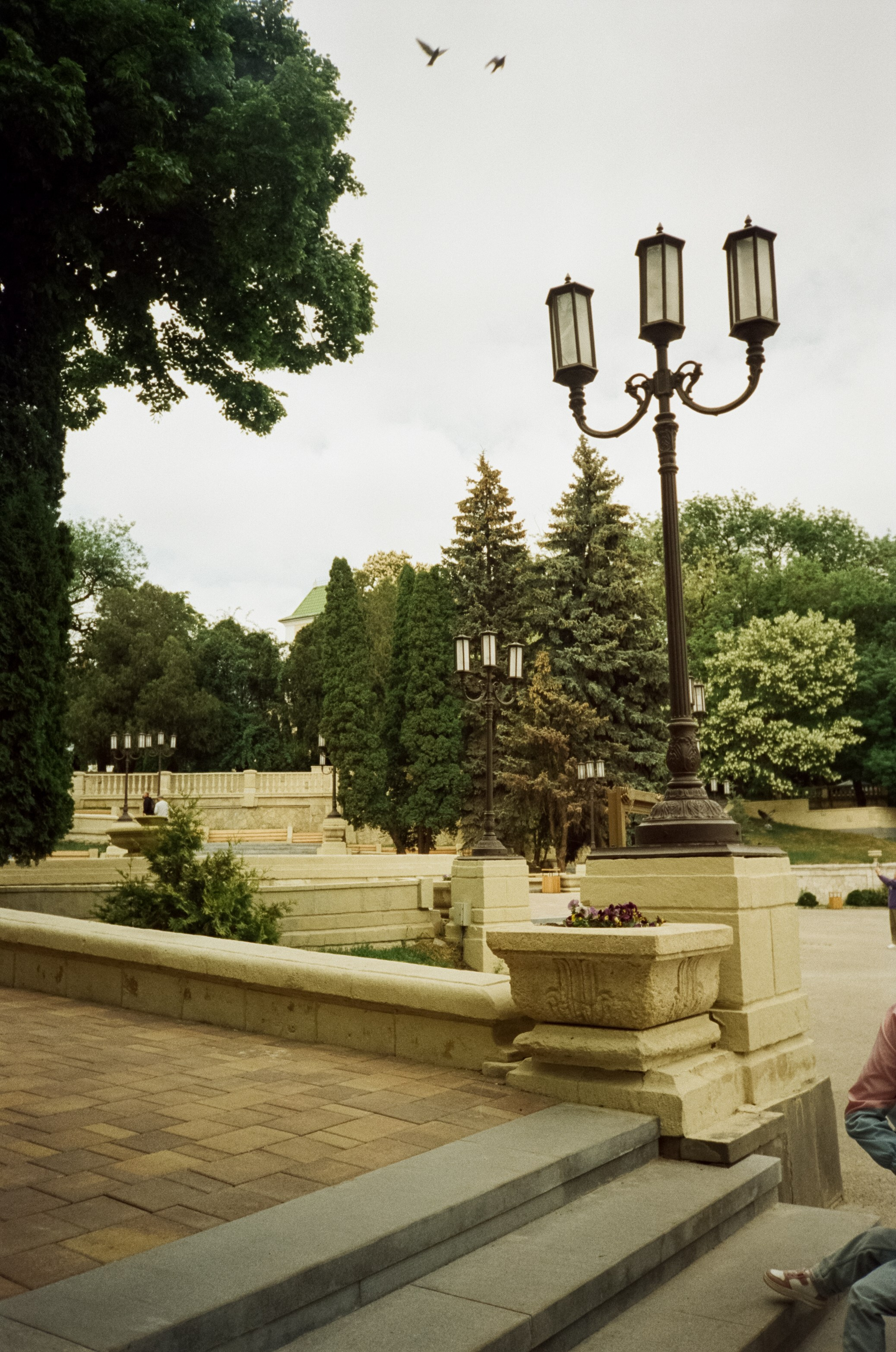 Прогулка в Курортном парке. Ессентуки. Фотограф-документалист Мария Осокина