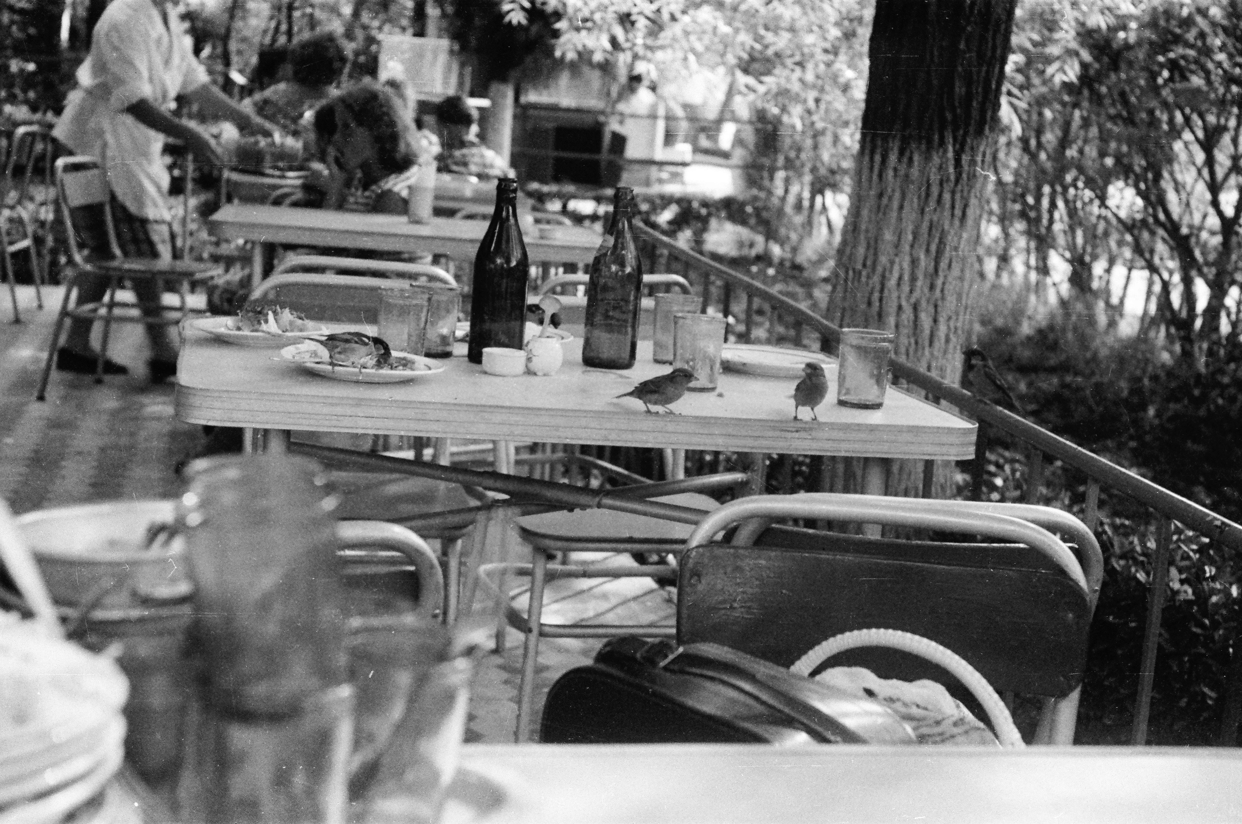 Archive of the Saakov family