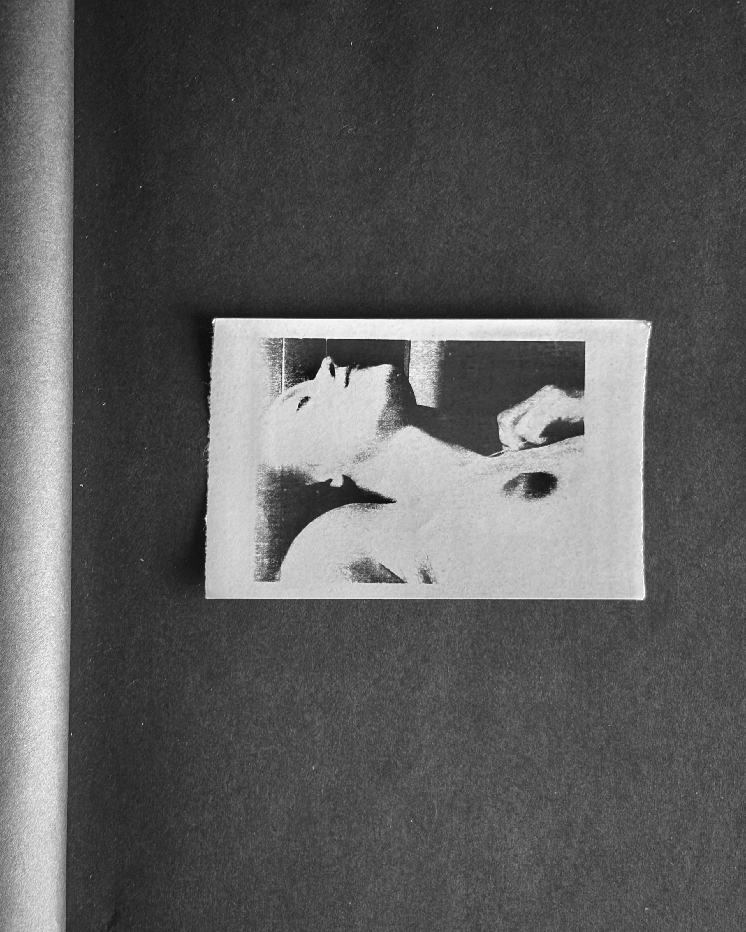 Fade. Художественная фотография. Фотография на плёнку. Илья Вараксин