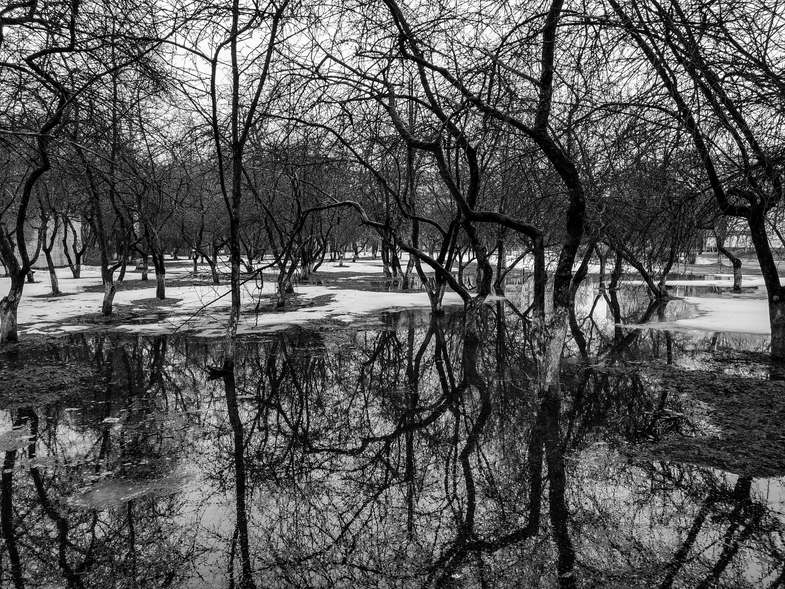 Курс «С нуля»