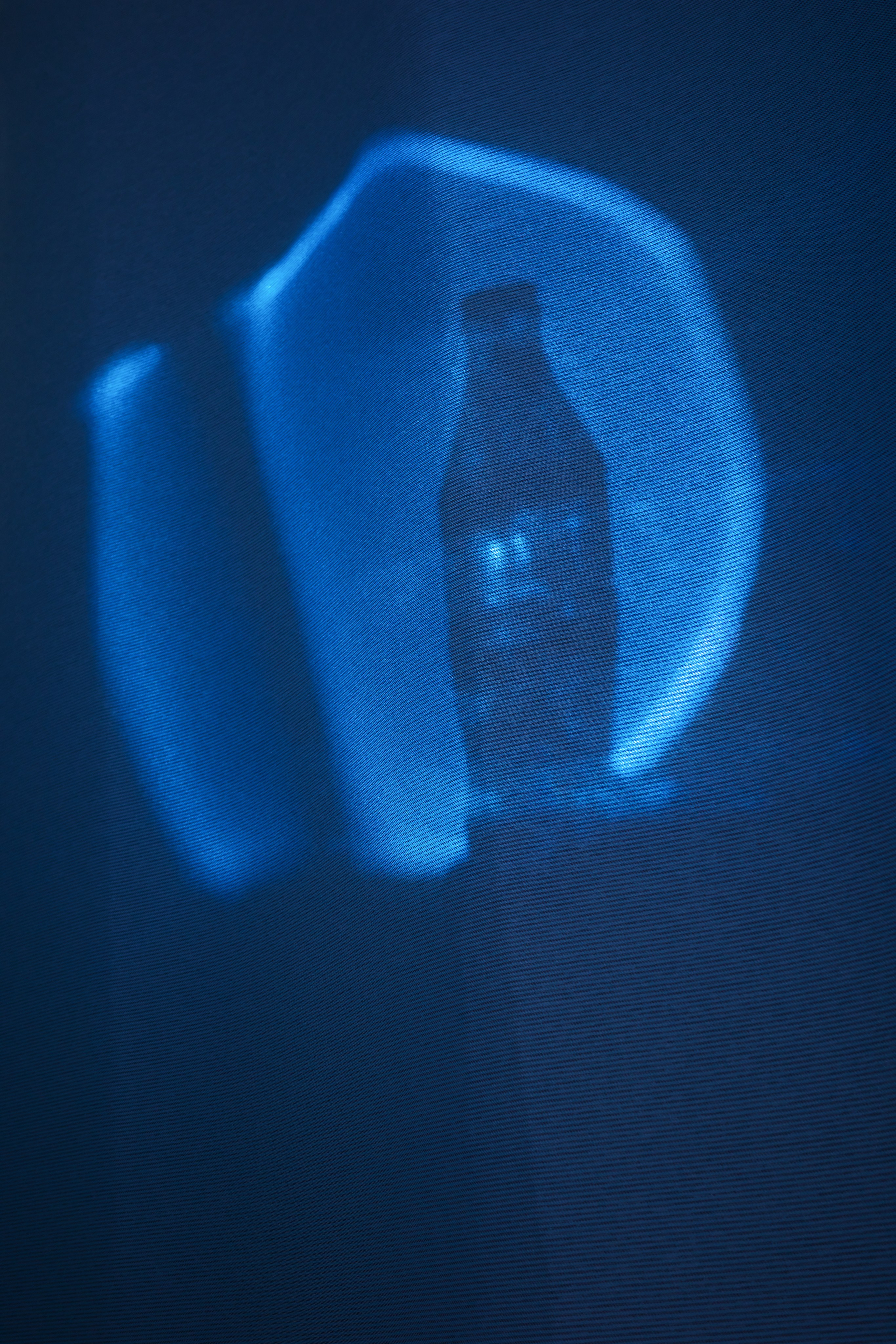 Тени весны 🪼. Миша Печёнкин | фотография