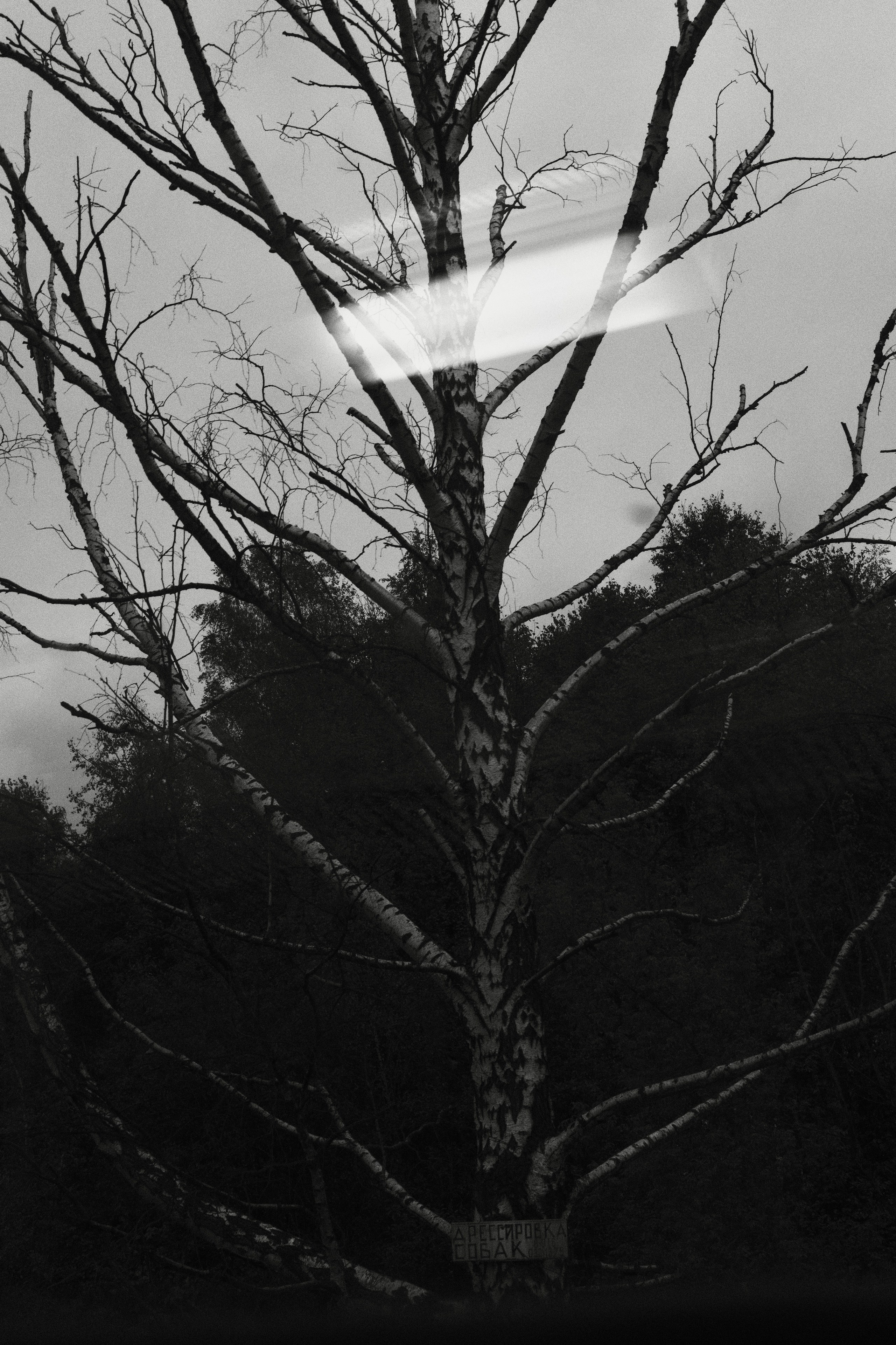 Сергиев Посад. Фотограф Маргана Лоция