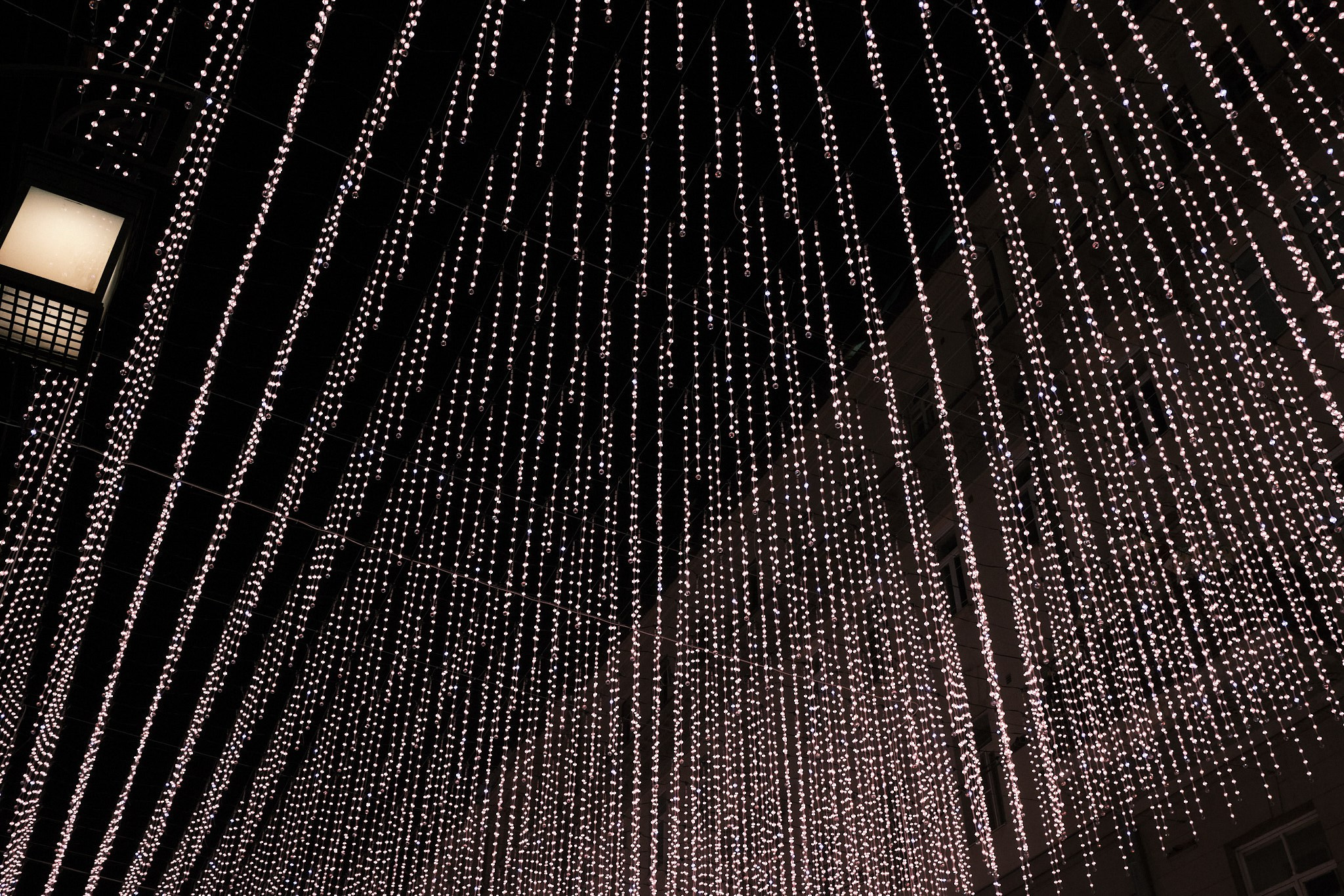 Москва без снега. Фотографъ Сергѣевъ. Поймать мгновеніе