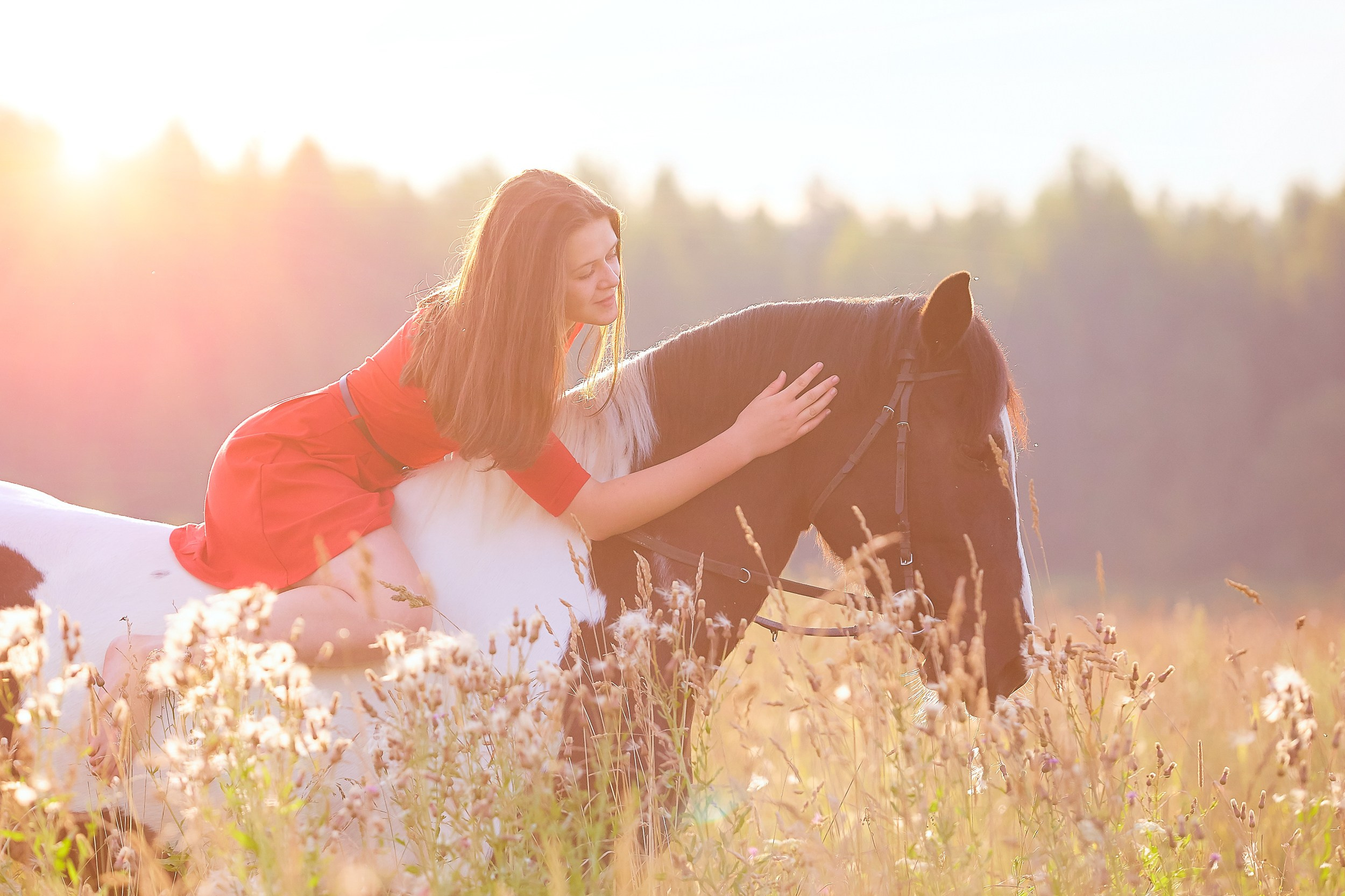 Фотосессия с лошадьми Фотограф Михаил Семенов, г. Ярославль