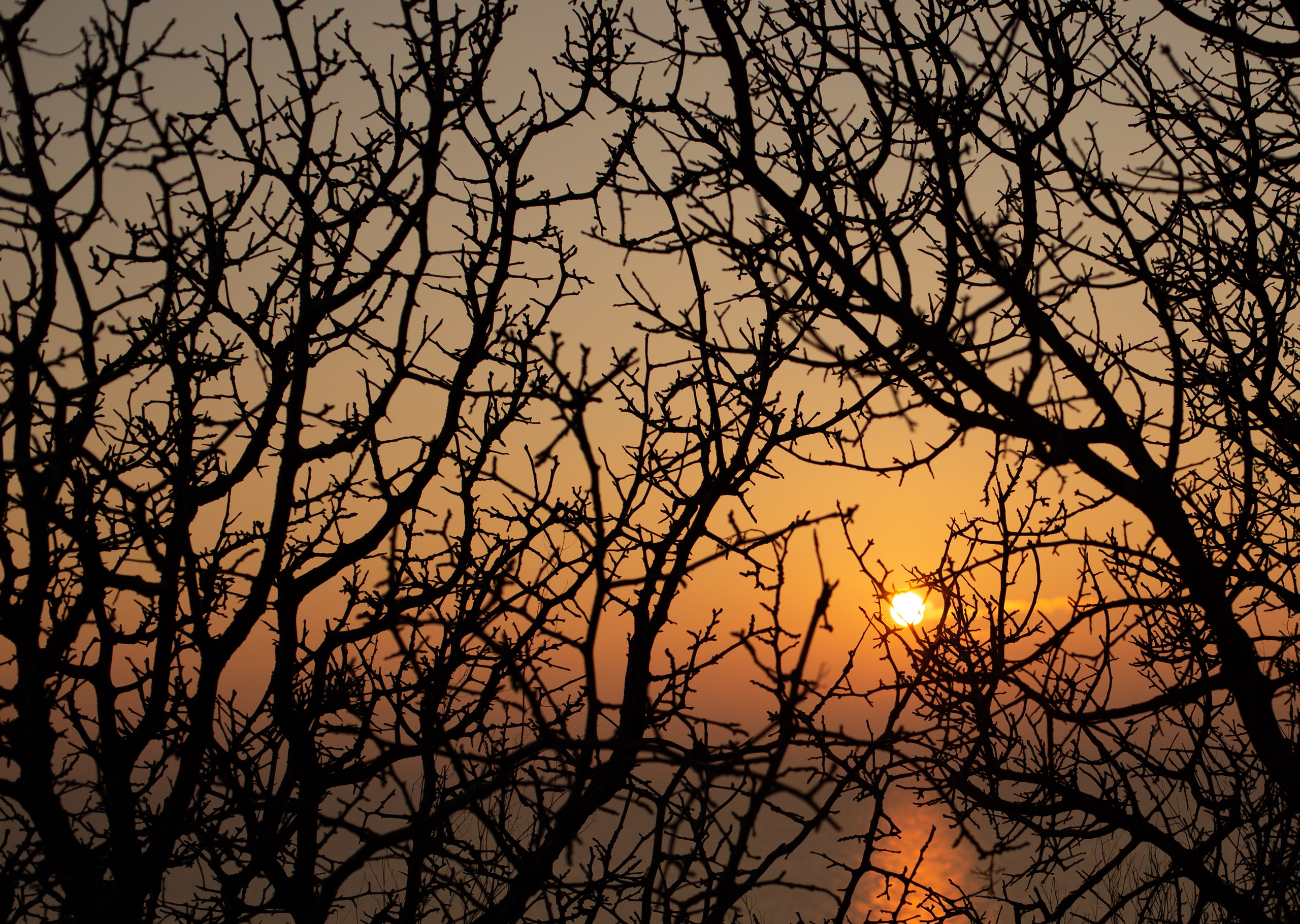Дороги земли ветров. Портретный фотограф в Москве и Геленджике Кирилл Вахитов