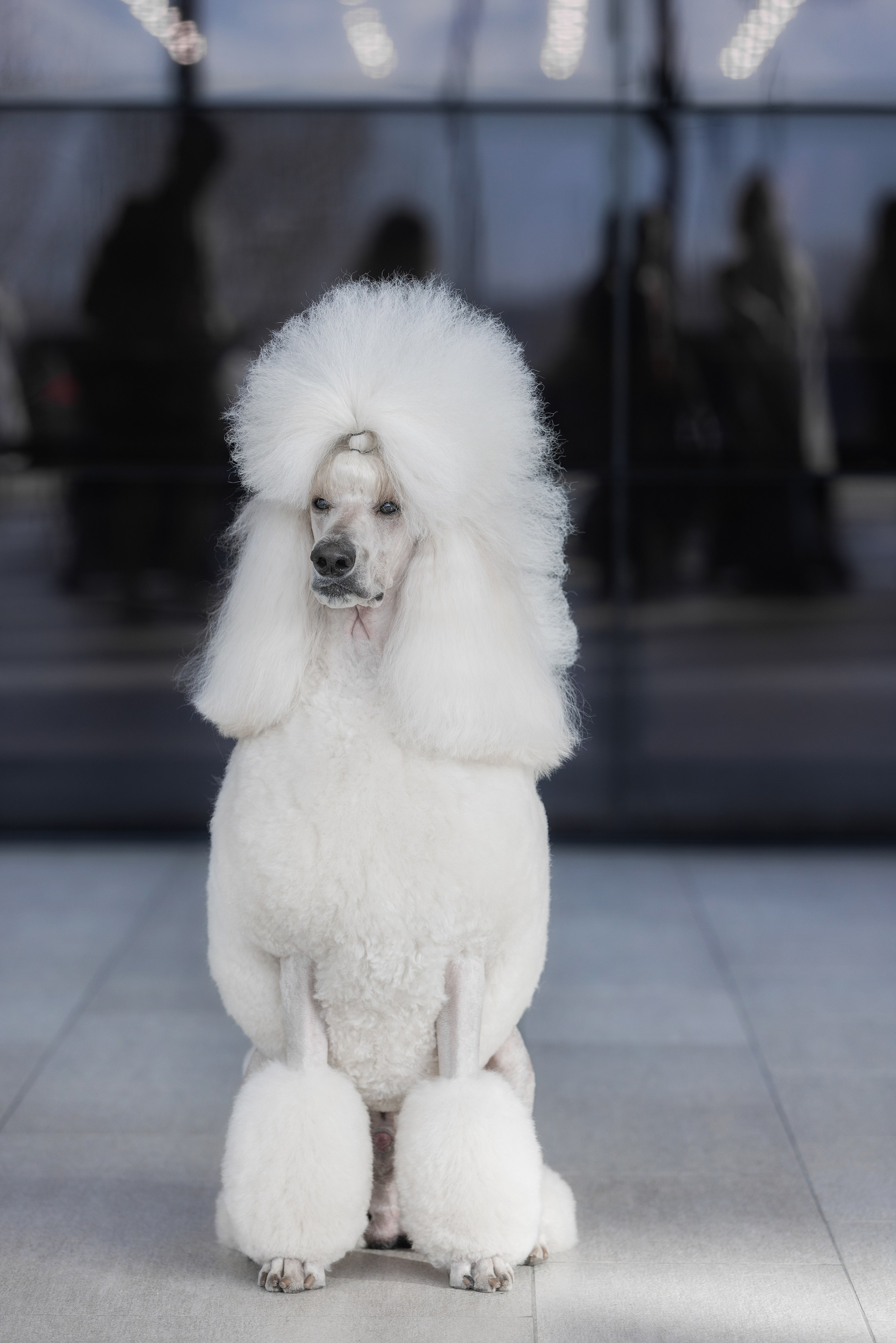 Фотограф Алена Звездина