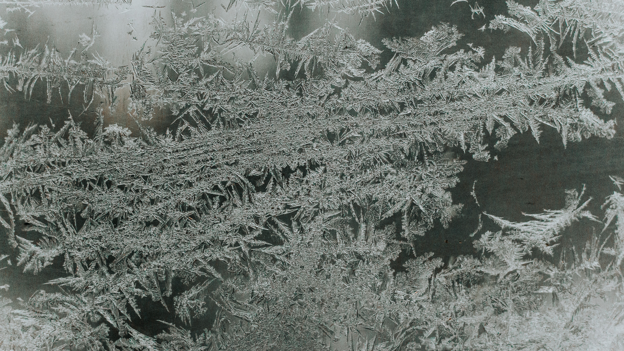 Парная фотосессия. Контент-фотограф Юлия|Санкт-Петербург|Питер