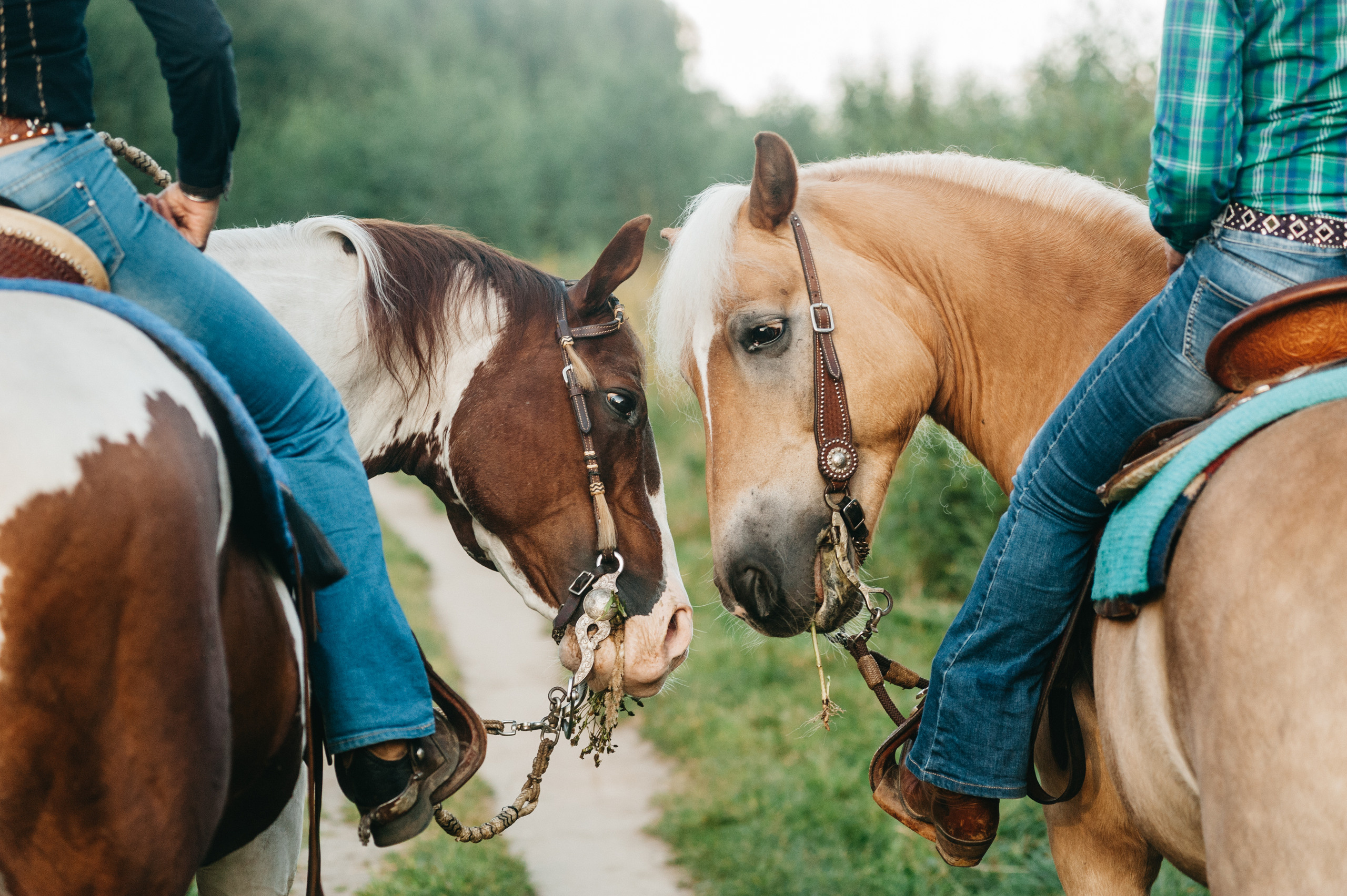 Фотосессия в стиле кантри. Семейный фотограф в Москве Елена Снегирева