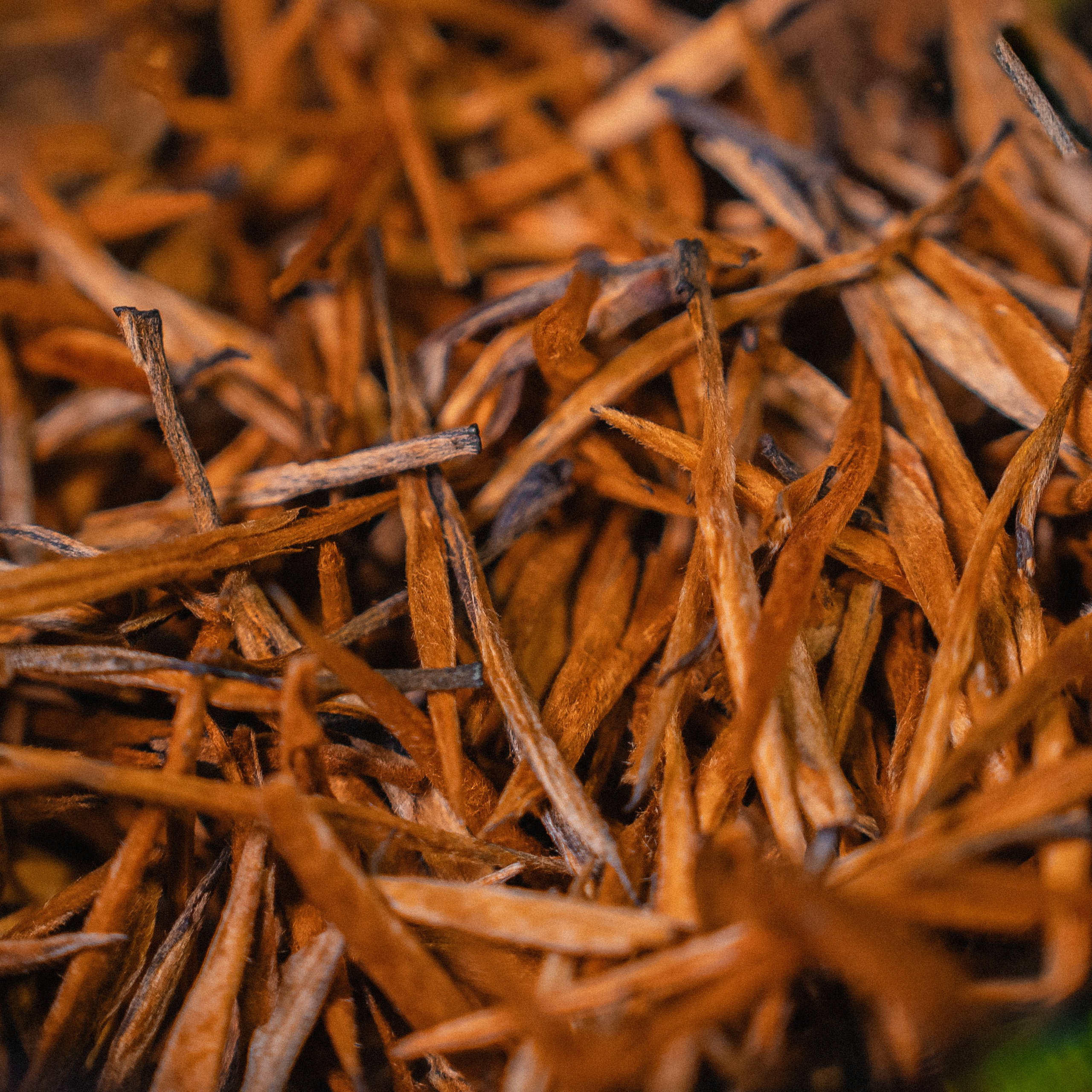 Контент для Айрочай. Часть II. Фотограф Пермь | Чернушка | Копытов Игорь