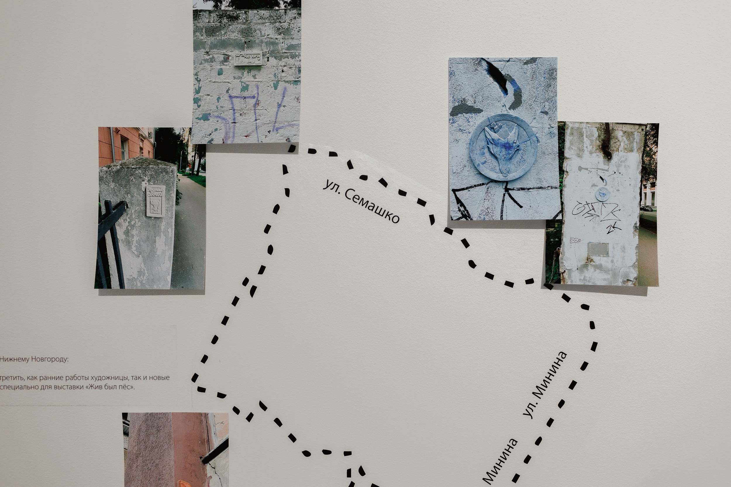 Жив был пёс. Собачий художник Поля Стриж